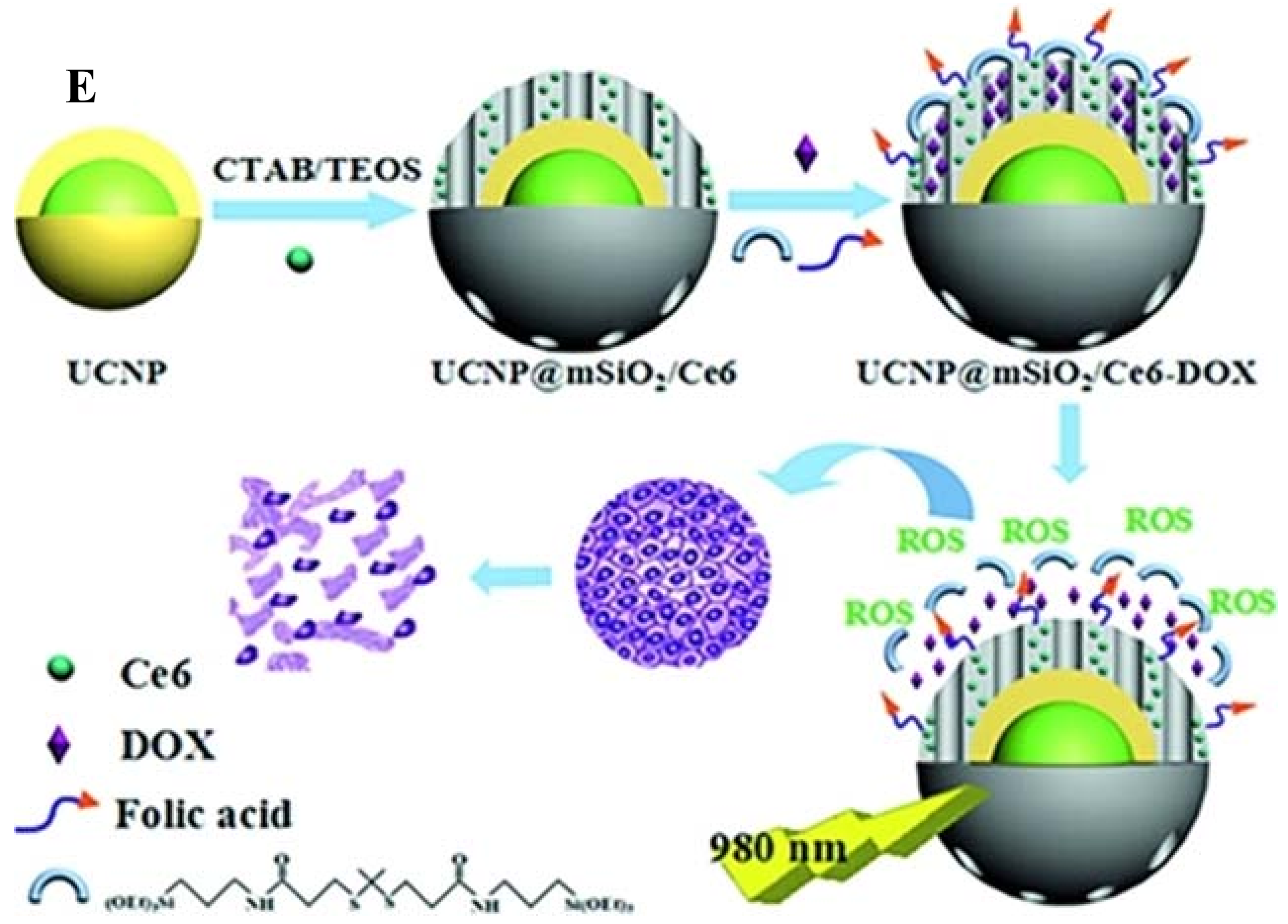 Nanomaterials 08 00344 g005b