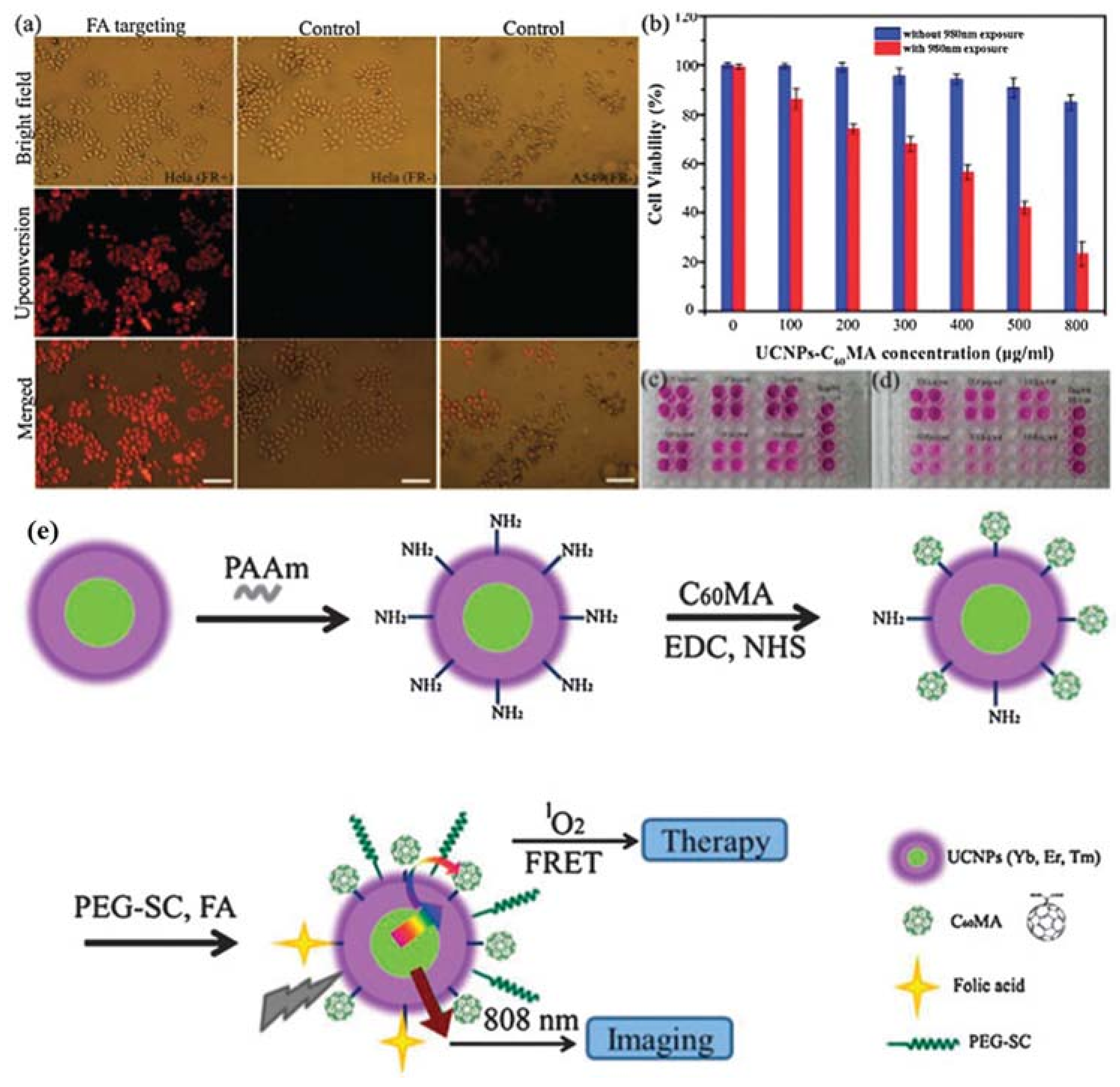 Nanomaterials 08 00344 g007