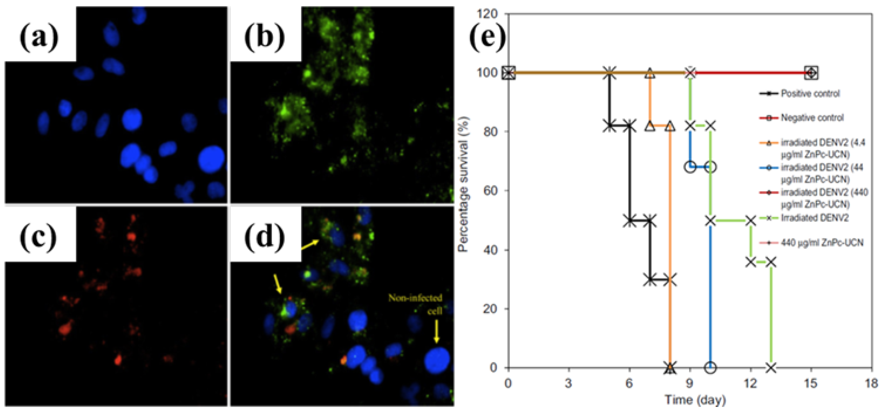 Nanomaterials 08 00344 g008