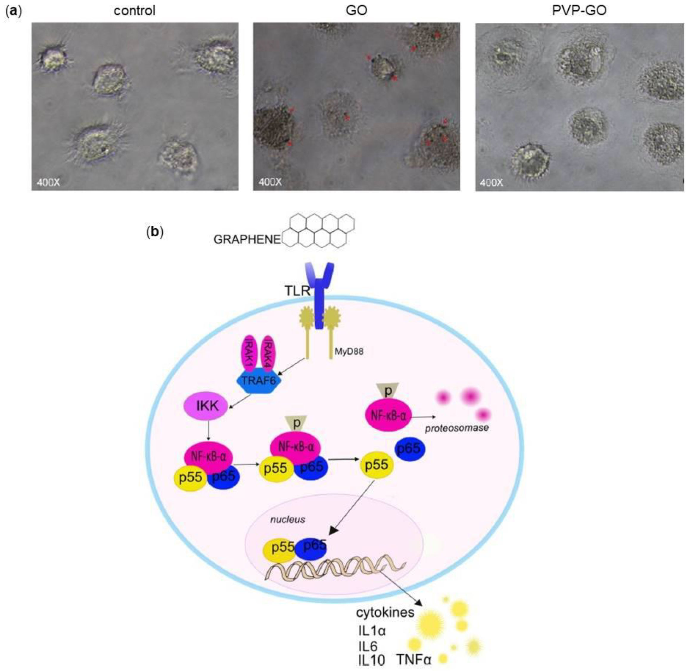 Nanomaterials 08 00349 g005