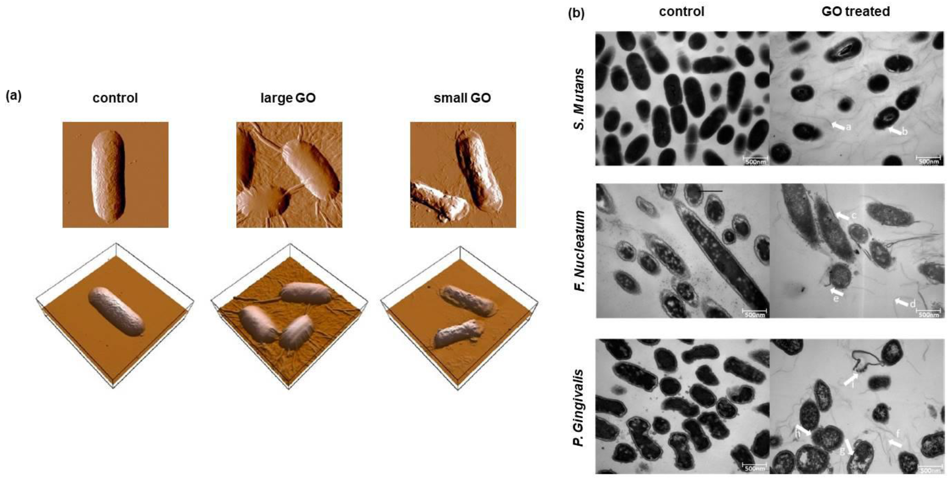 Nanomaterials 08 00349 g006