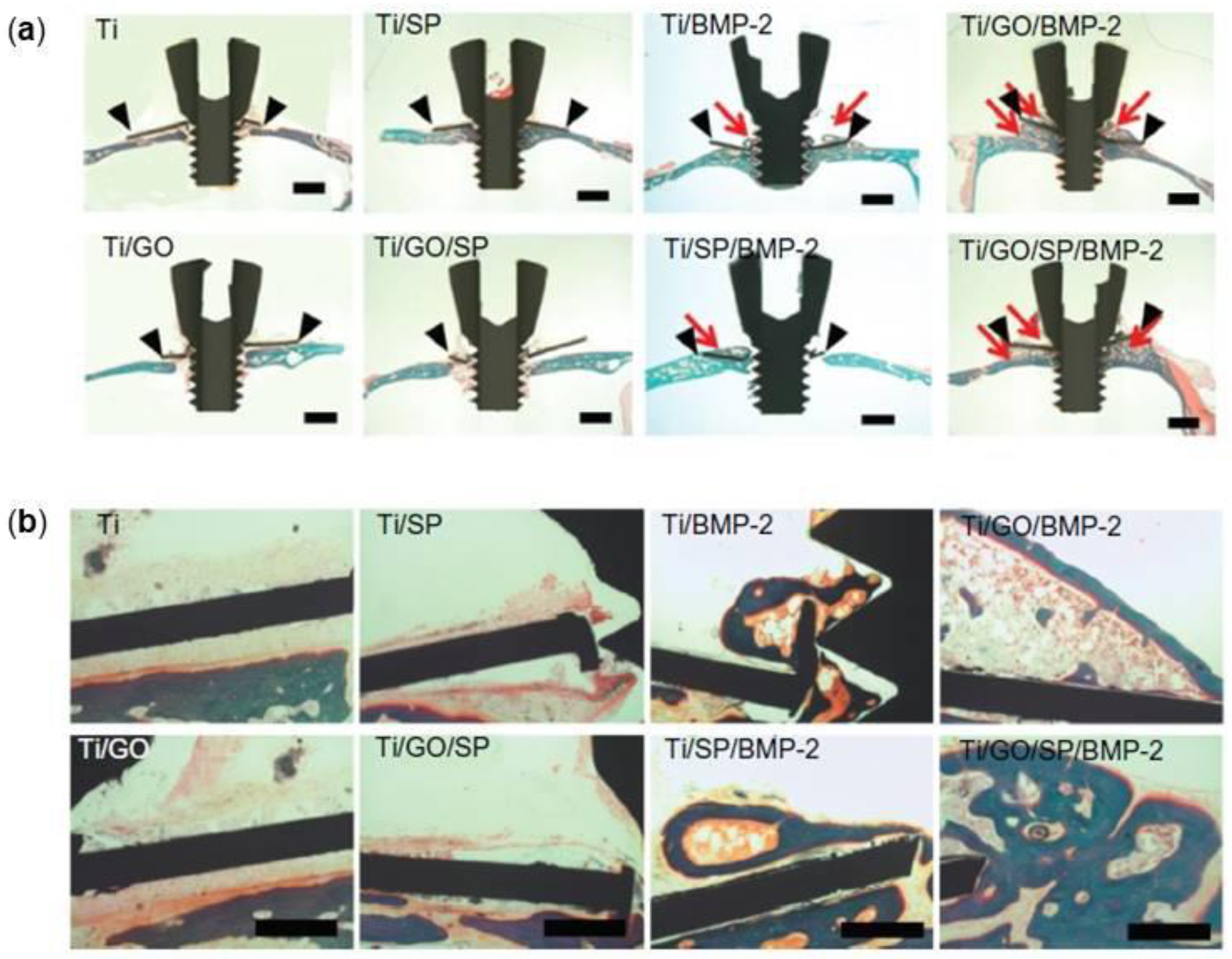 Nanomaterials 08 00349 g007