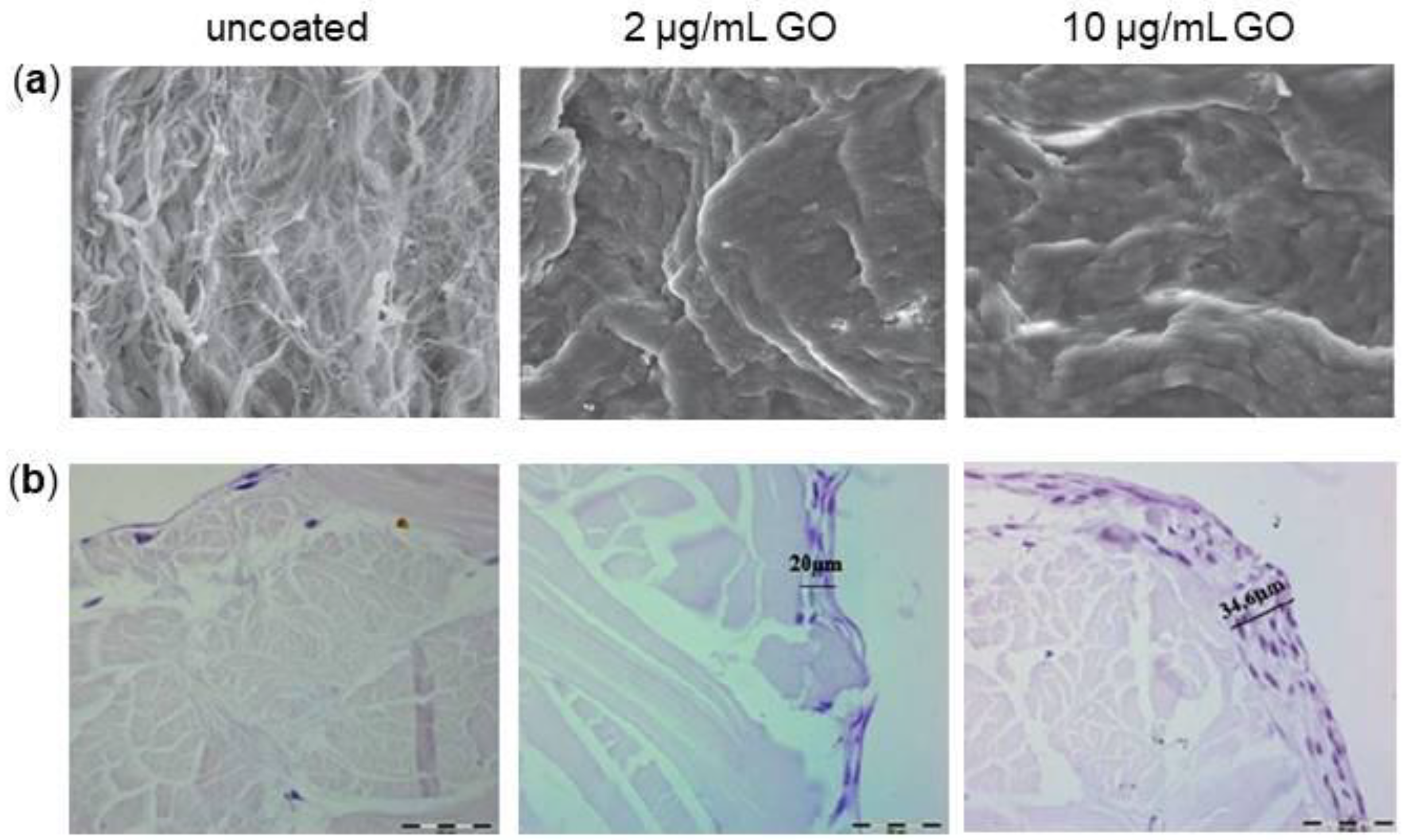 Nanomaterials 08 00349 g008