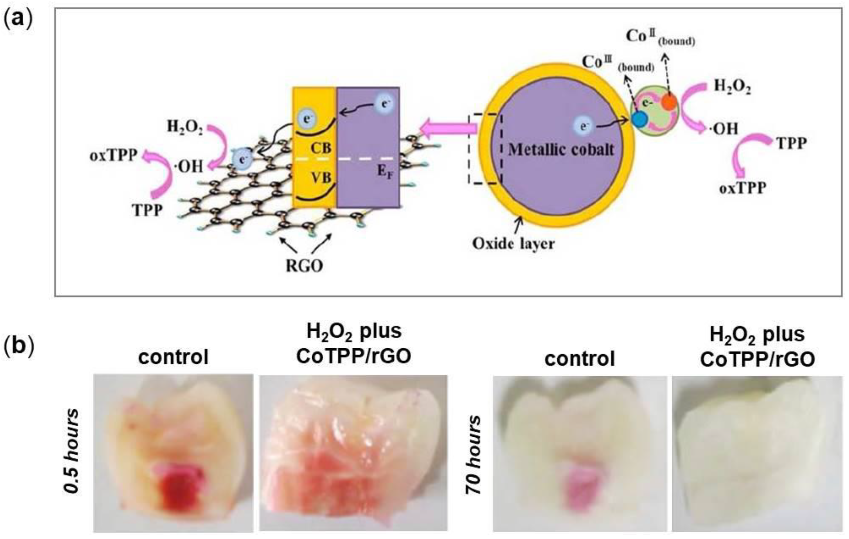 Nanomaterials 08 00349 g009