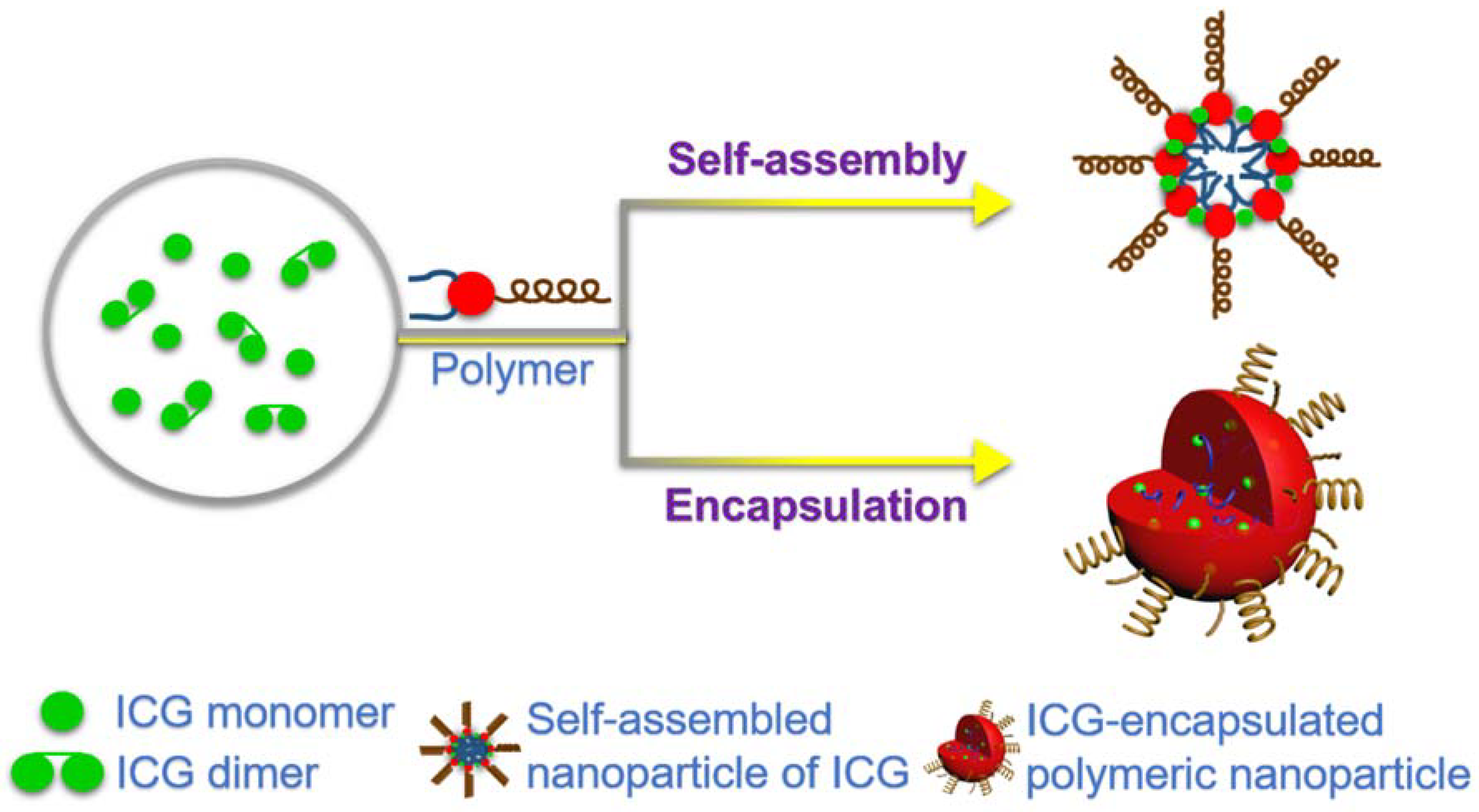 Nanomaterials 08 00360 g003 Nanomaterials 08 00360 g003