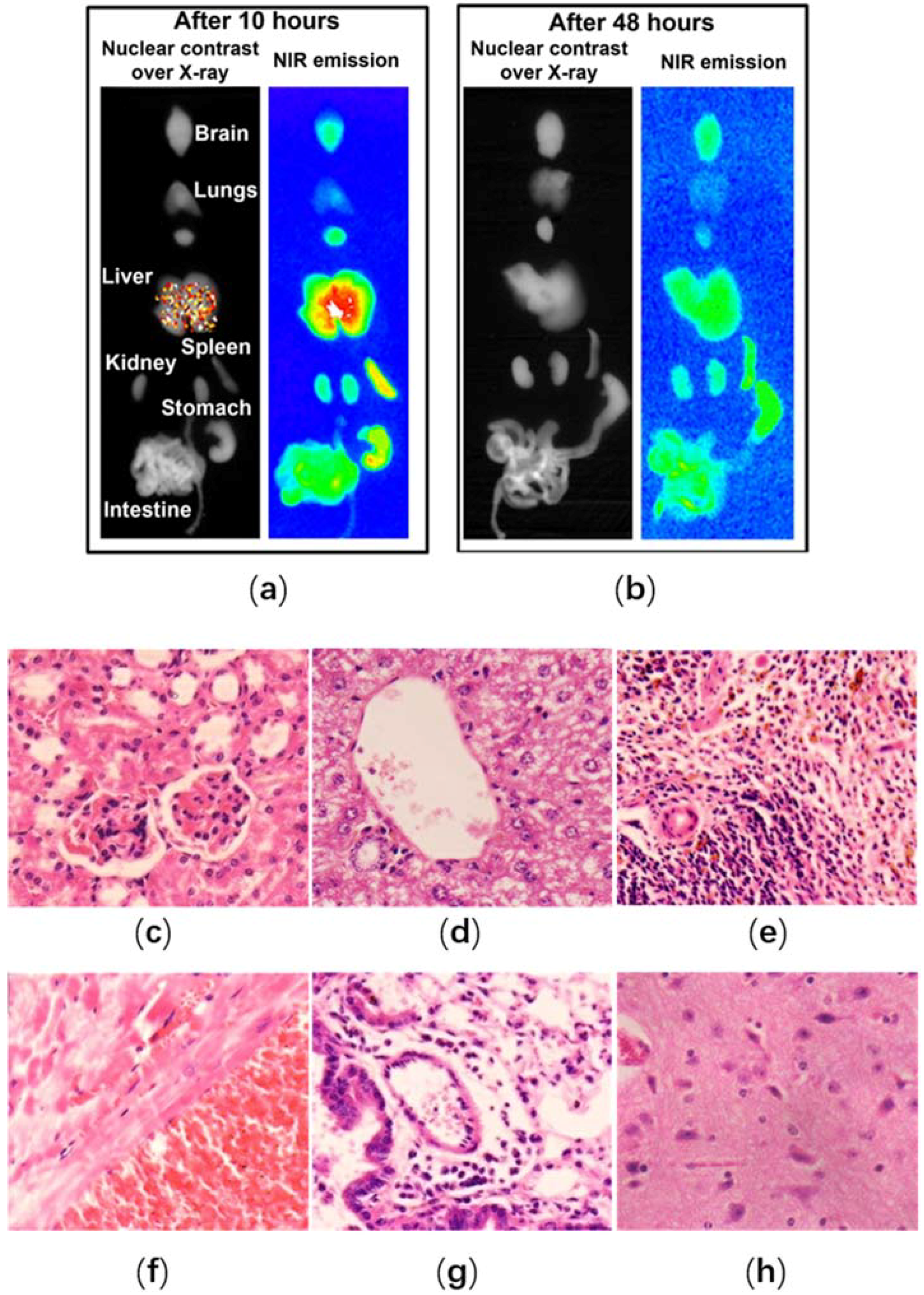 Nanomaterials 08 00360 g004 Nanomaterials 08 00360 g004