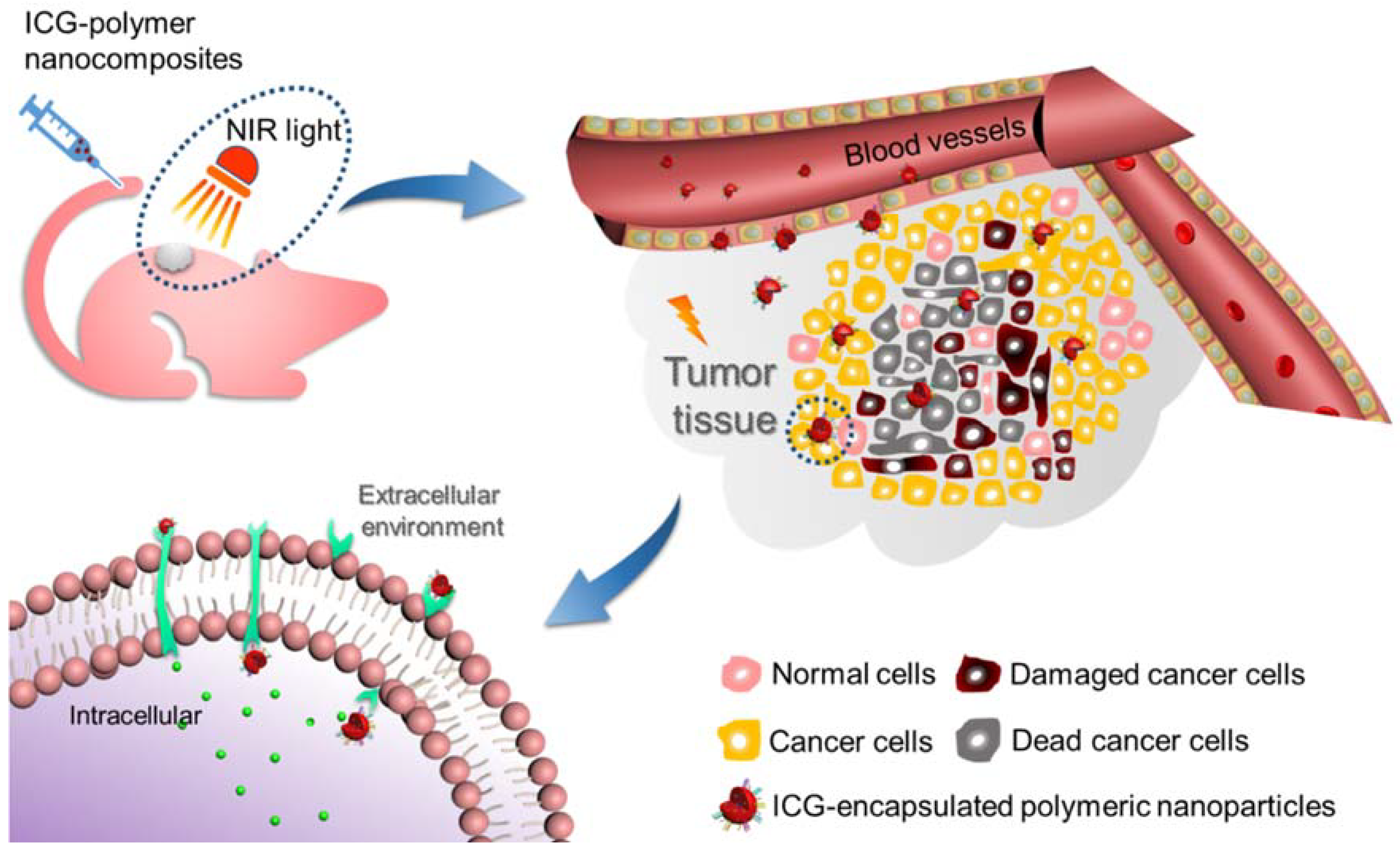 Nanomaterials 08 00360 g007 Nanomaterials 08 00360 g007
