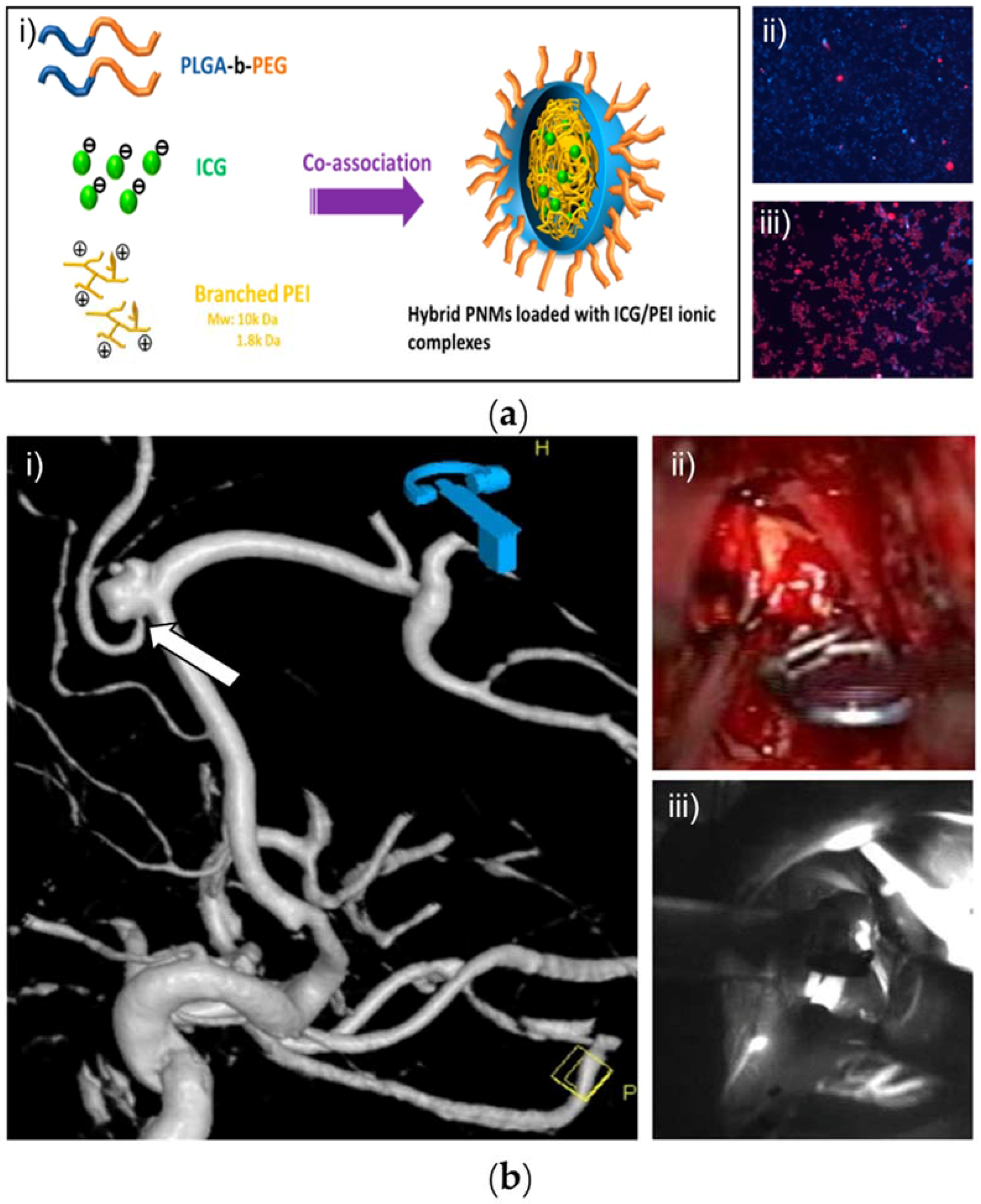 Nanomaterials 08 00360 g008 Nanomaterials 08 00360 g008
