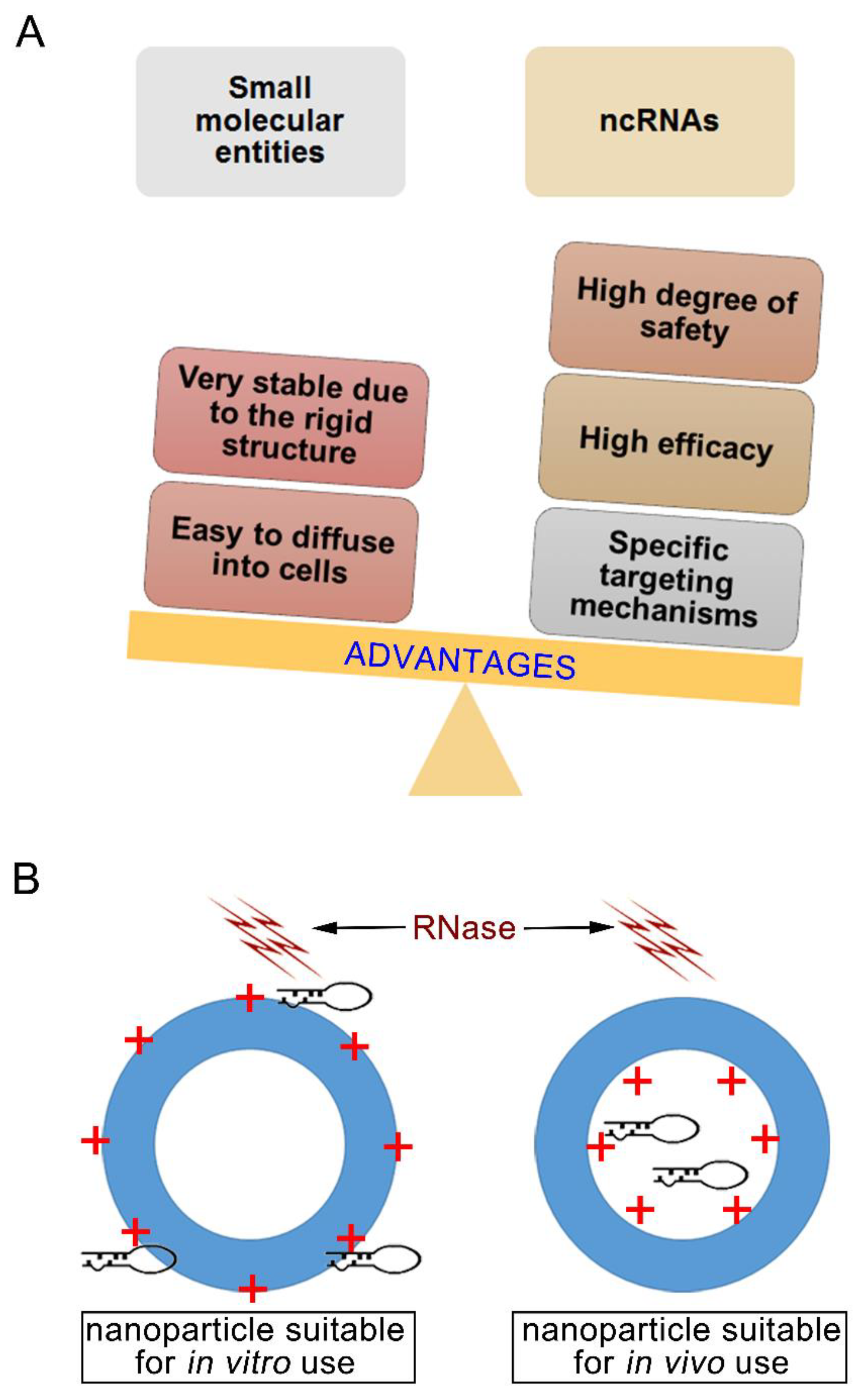 Nanomaterials 08 00361 g001