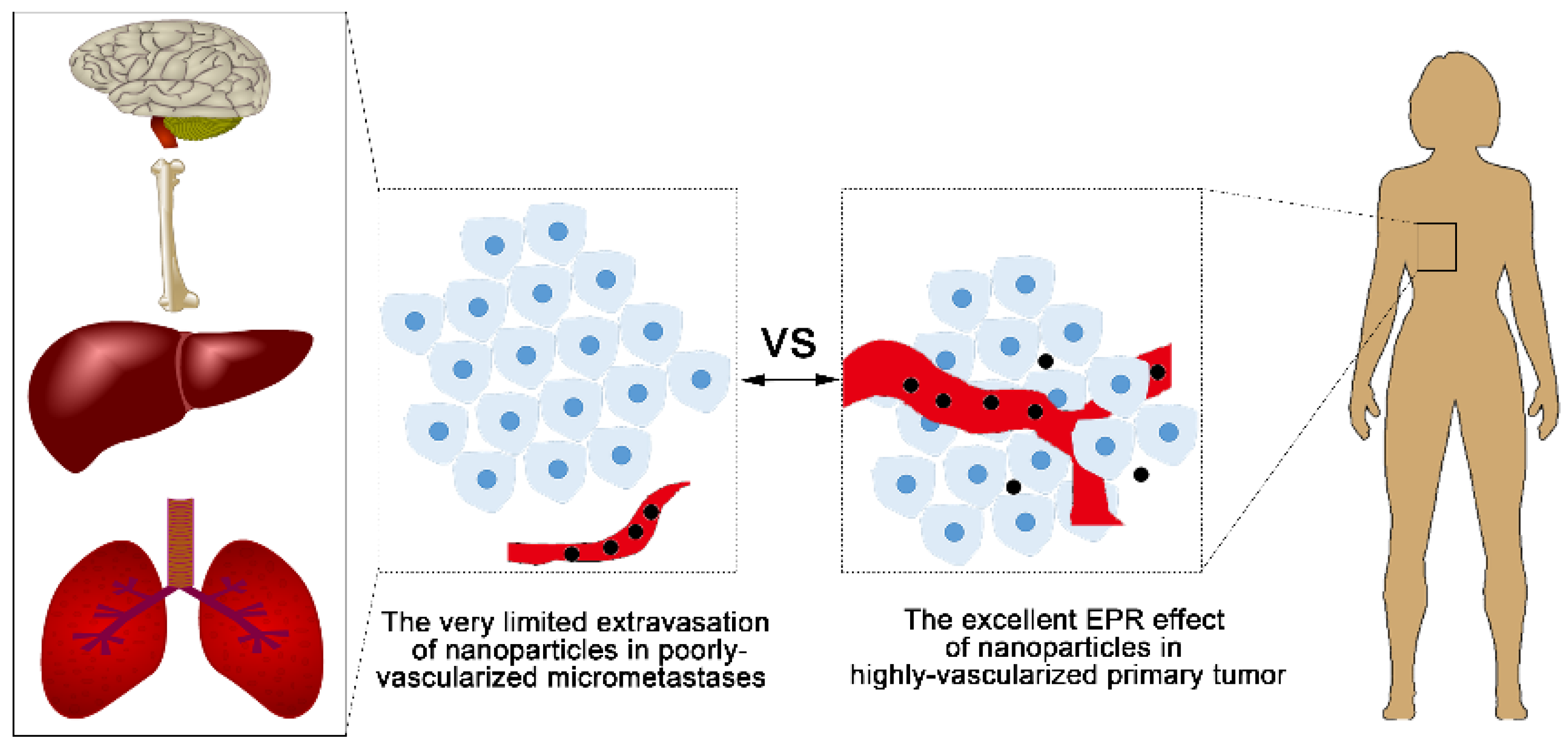 Nanomaterials 08 00361 g002