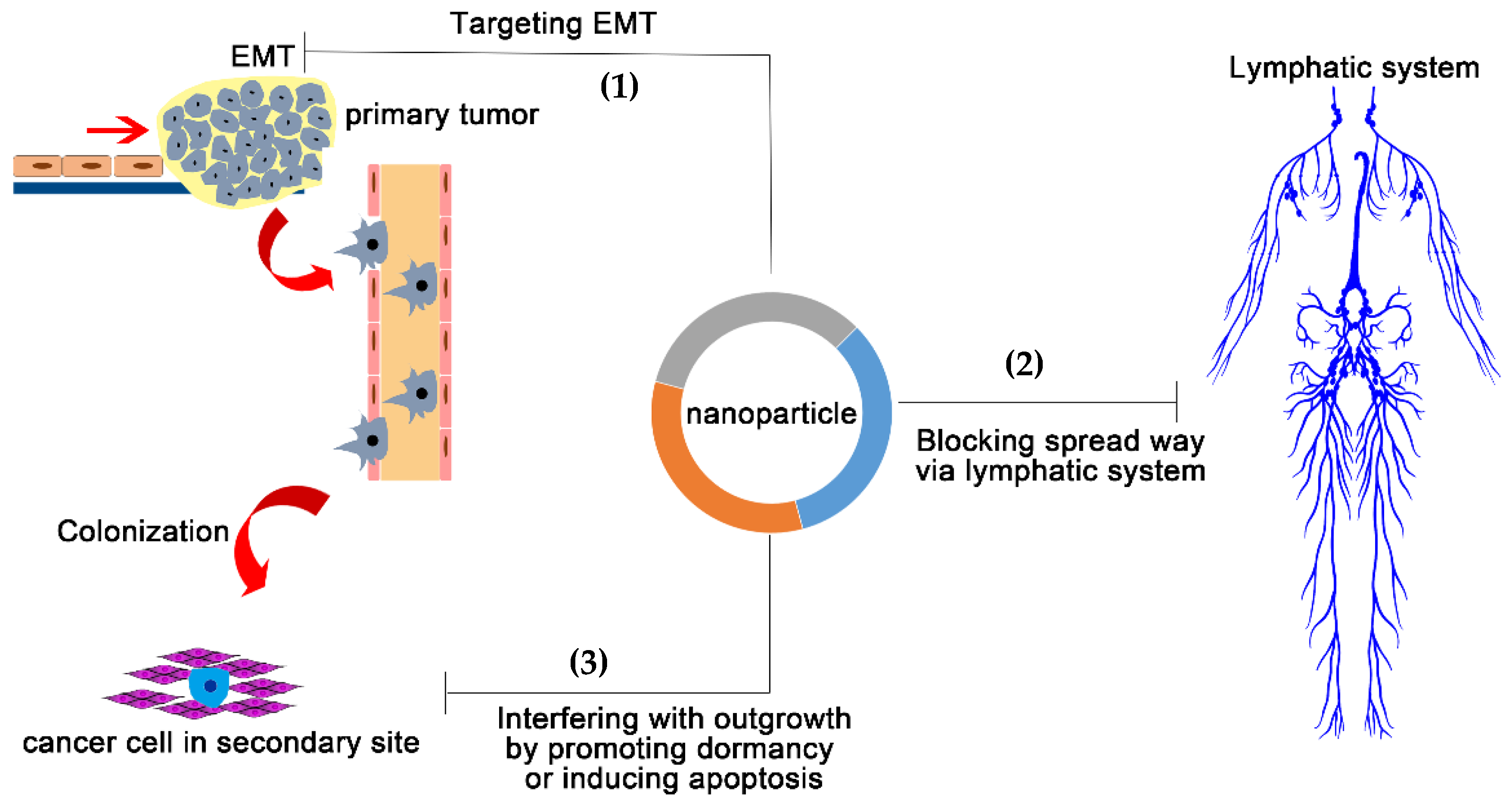Nanomaterials 08 00361 g003