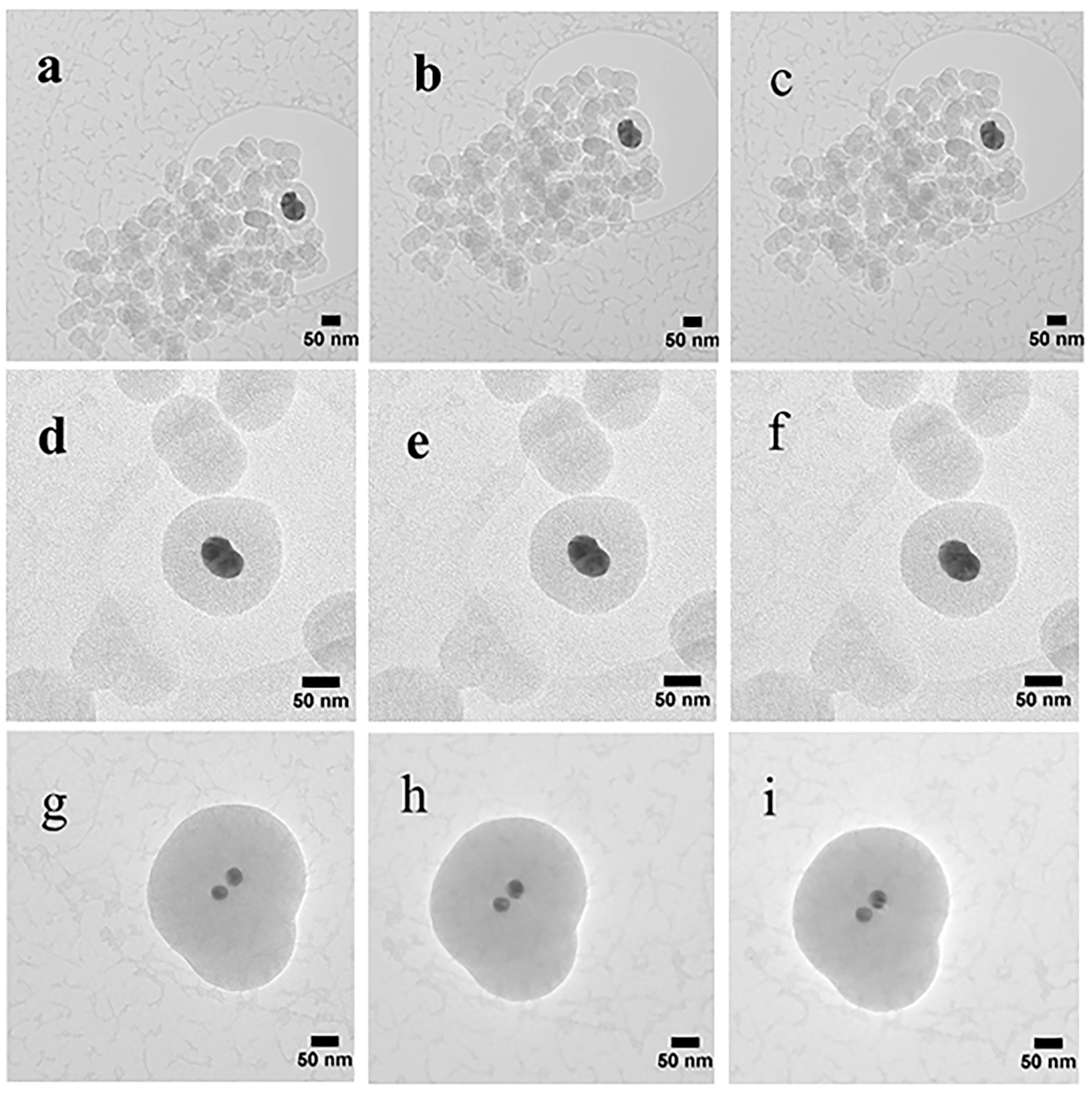 Nanomaterials 08 00362 g006