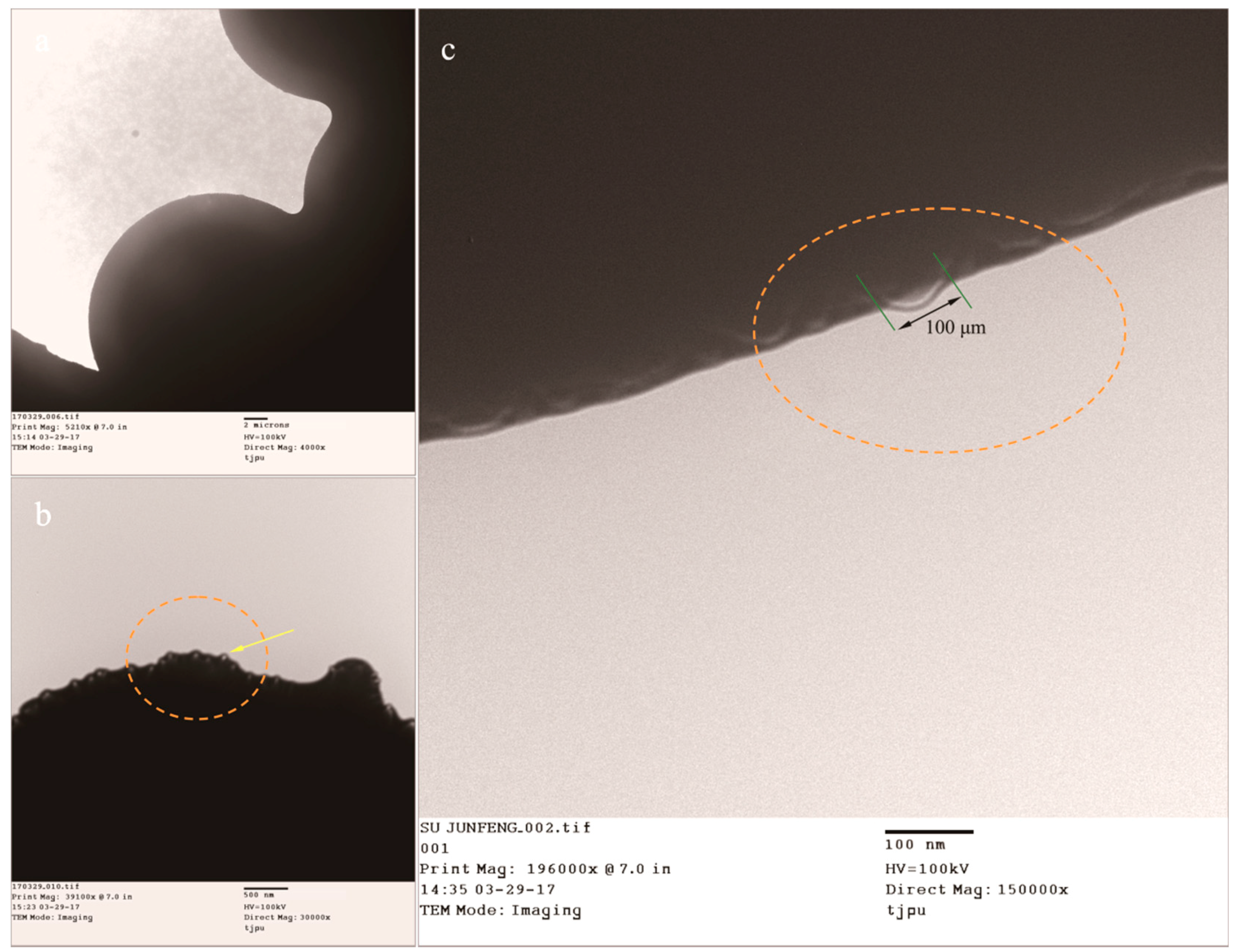 Nanomaterials 08 00364 g006