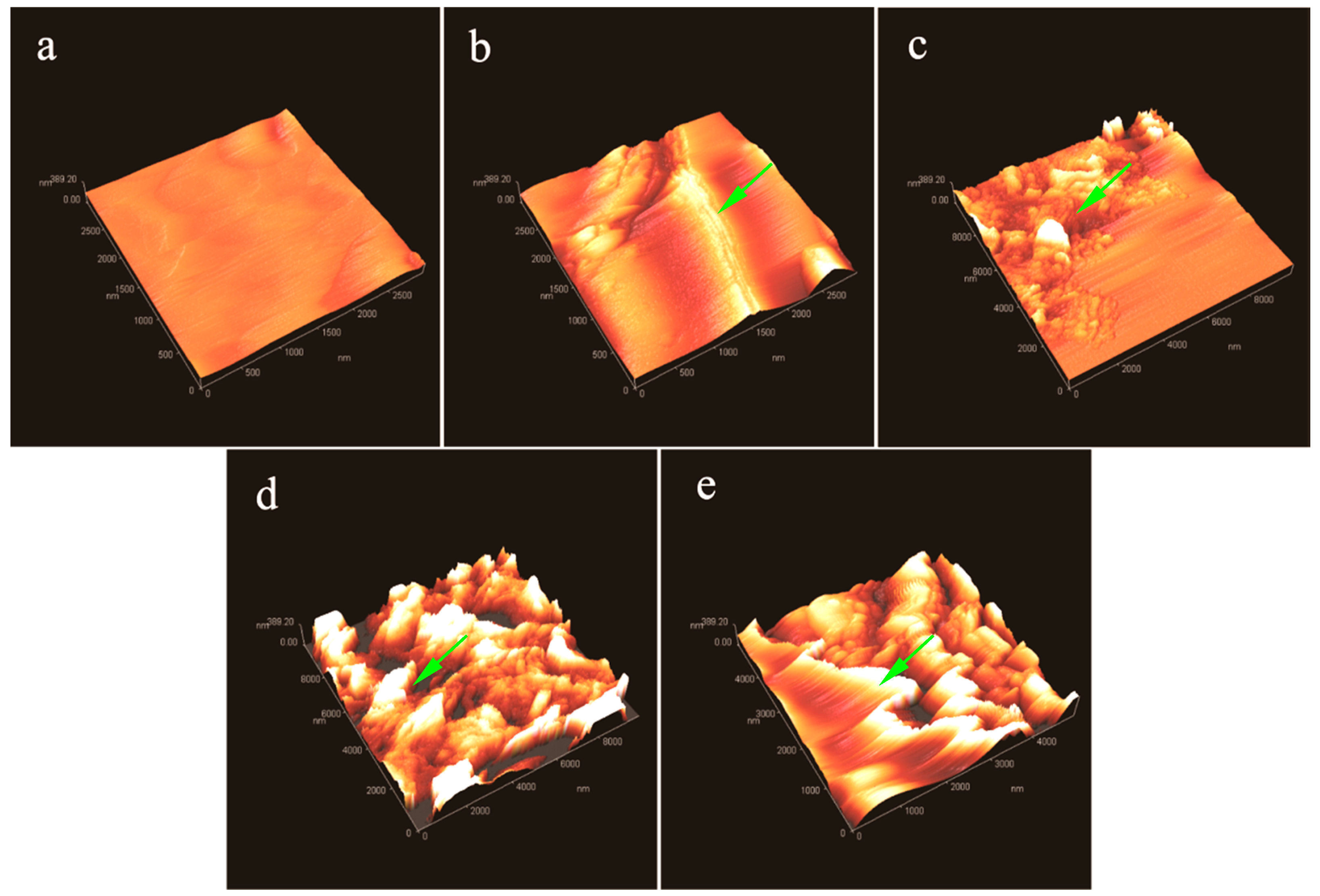 Nanomaterials 08 00364 g007