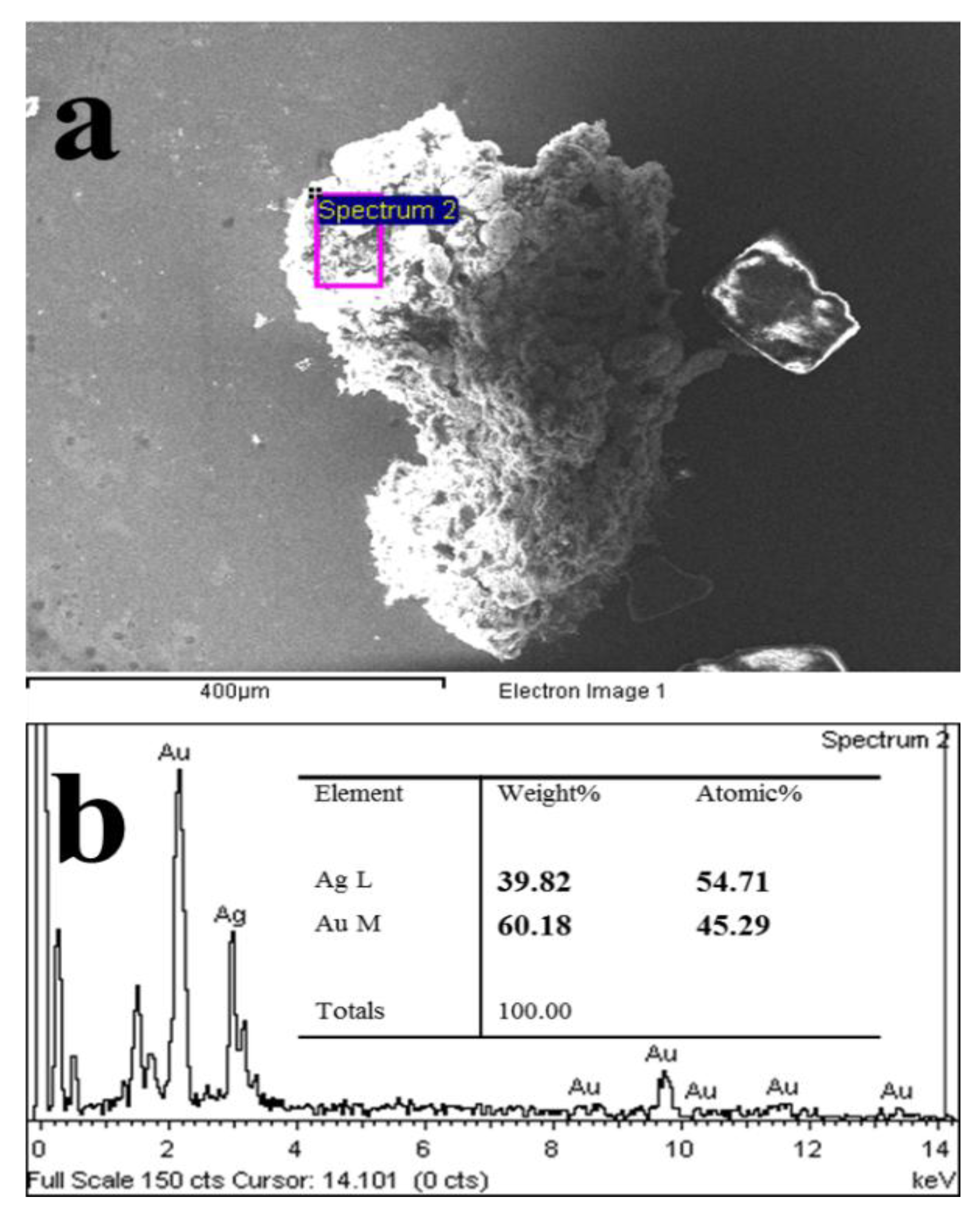 Nanomaterials 08 00376 g005