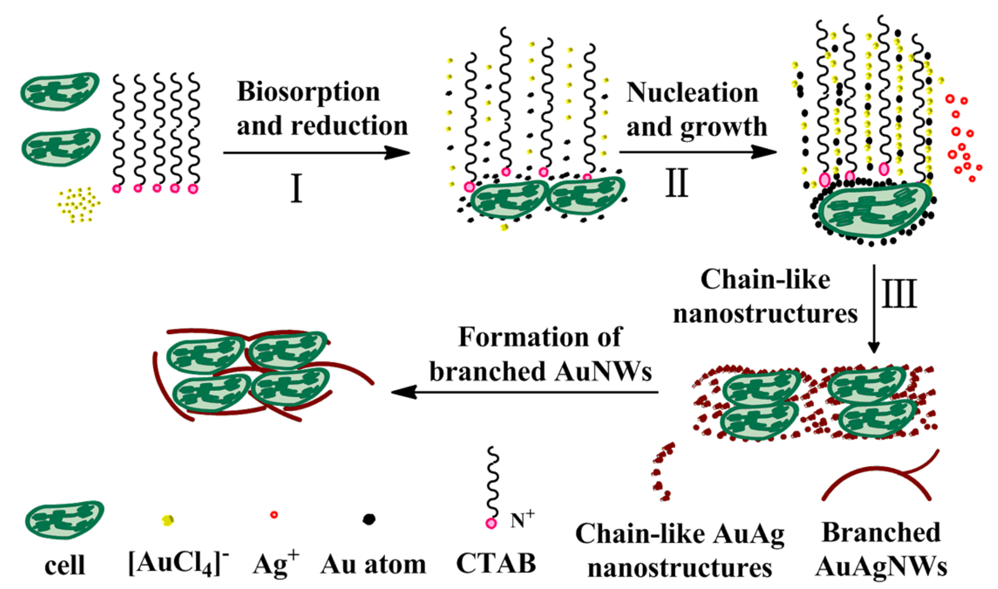 Nanomaterials 08 00376 g008