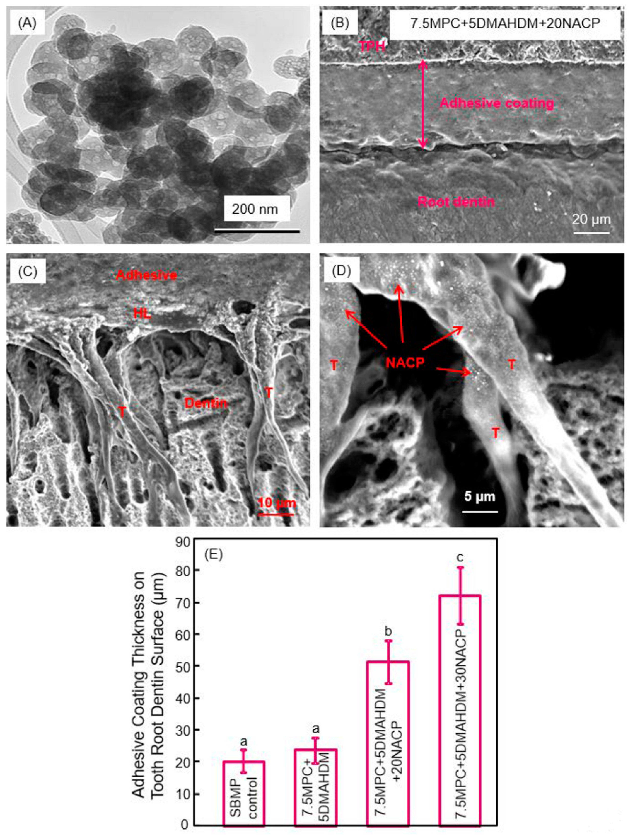 Nanomaterials 08 00393 g006