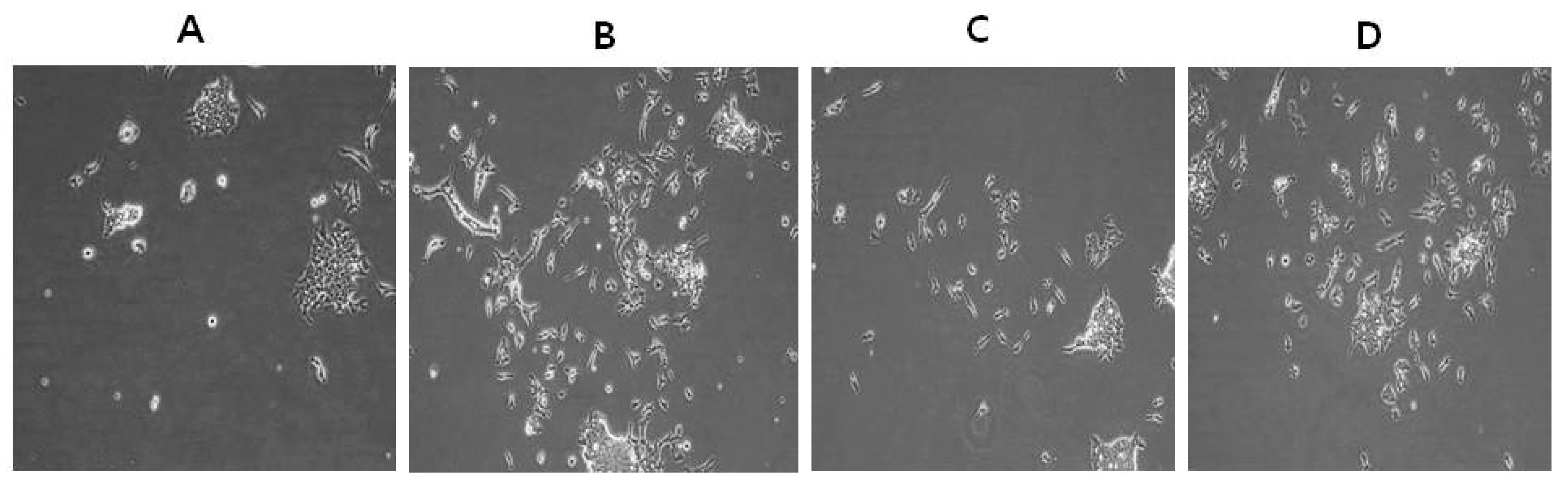Nanomaterials 08 00396 g009 Nanomaterials 08 00396 g009