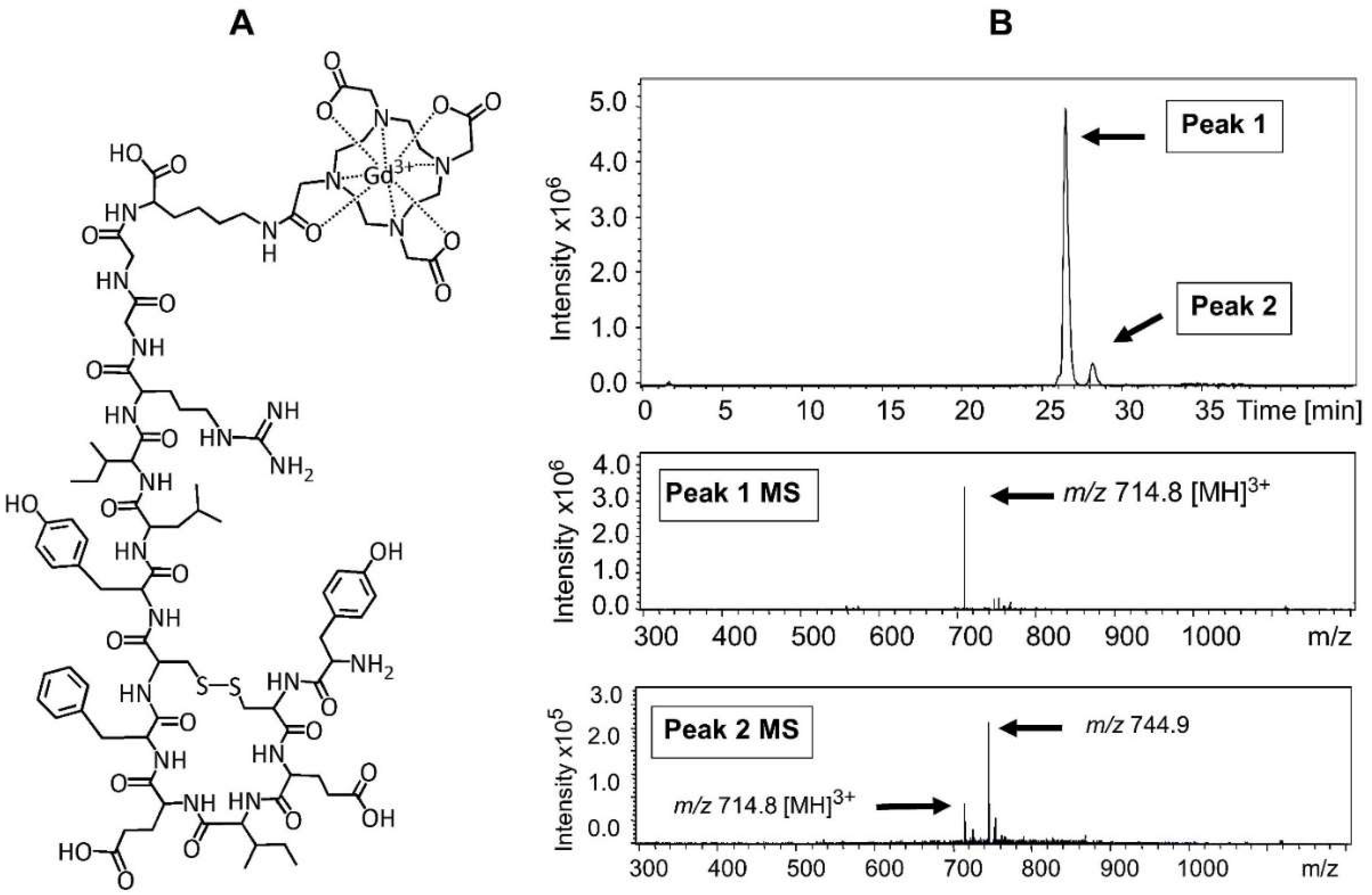 Nanomaterials 08 00399 g004