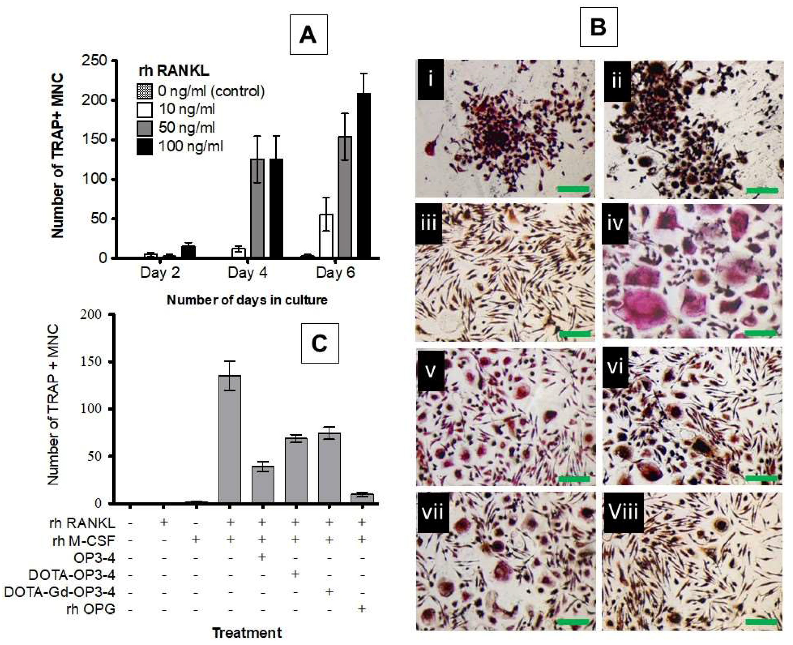 Nanomaterials 08 00399 g007
