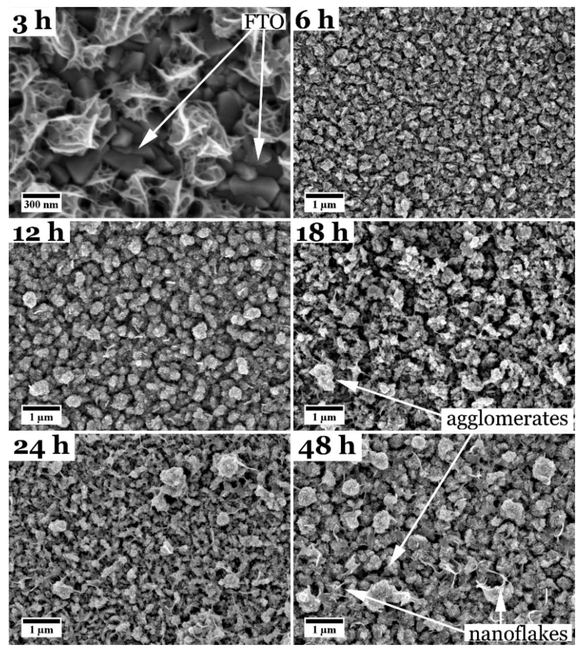 Nanomaterials 08 00405 g001 Nanomaterials 08 00405 g001