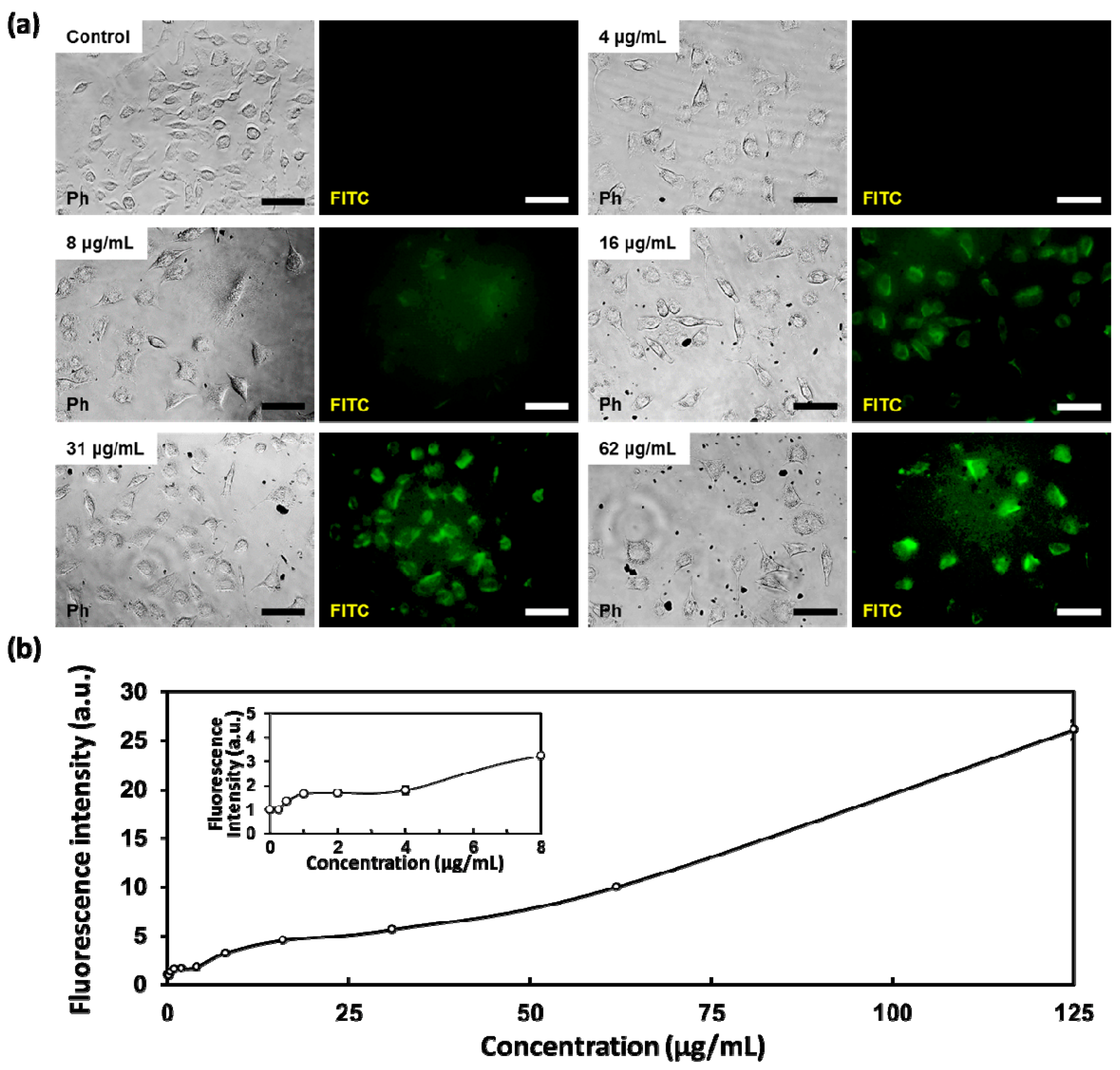 Nanomaterials 08 00408 g003 Nanomaterials 08 00408 g003