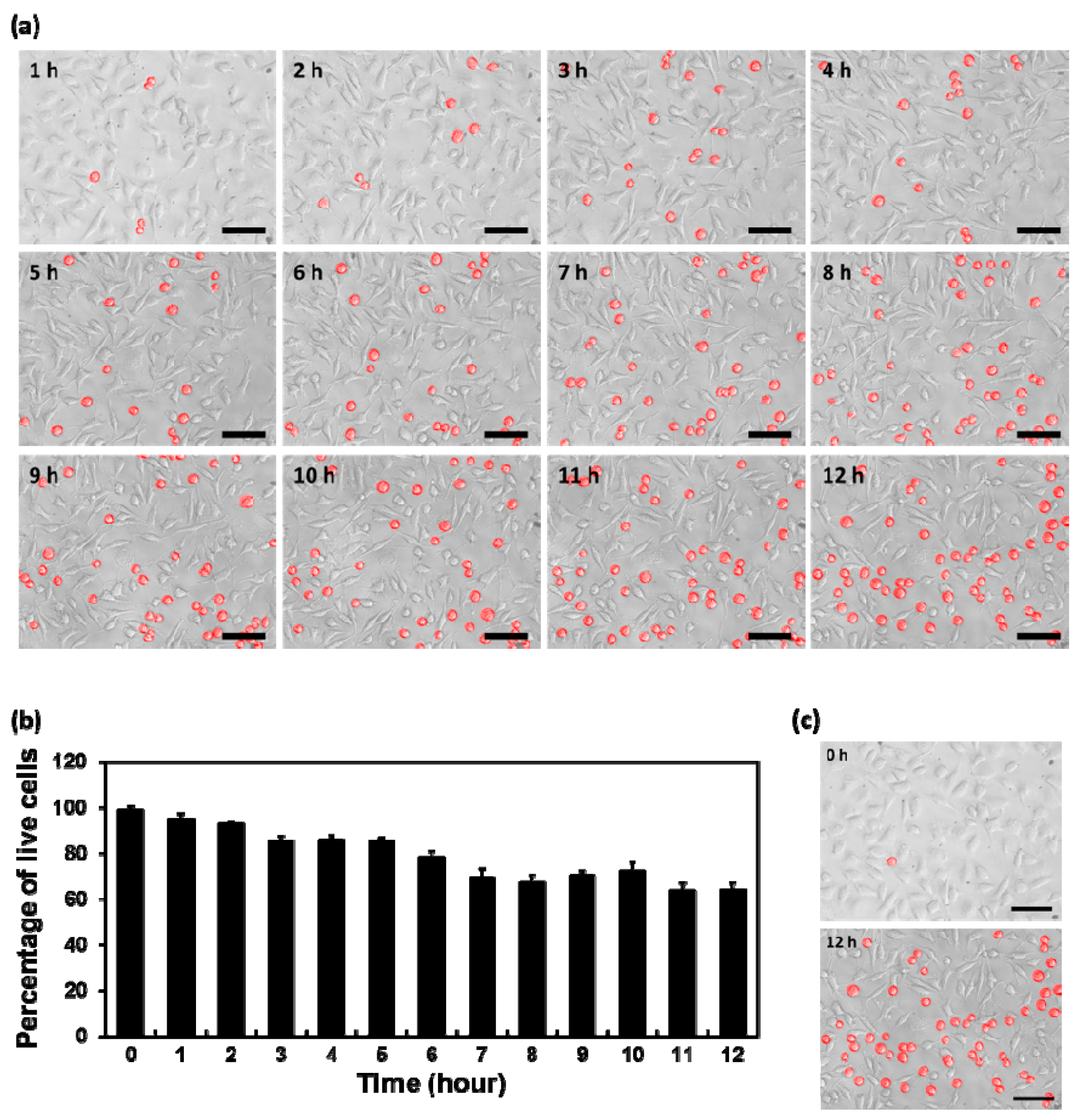 Nanomaterials 08 00408 g004 Nanomaterials 08 00408 g004