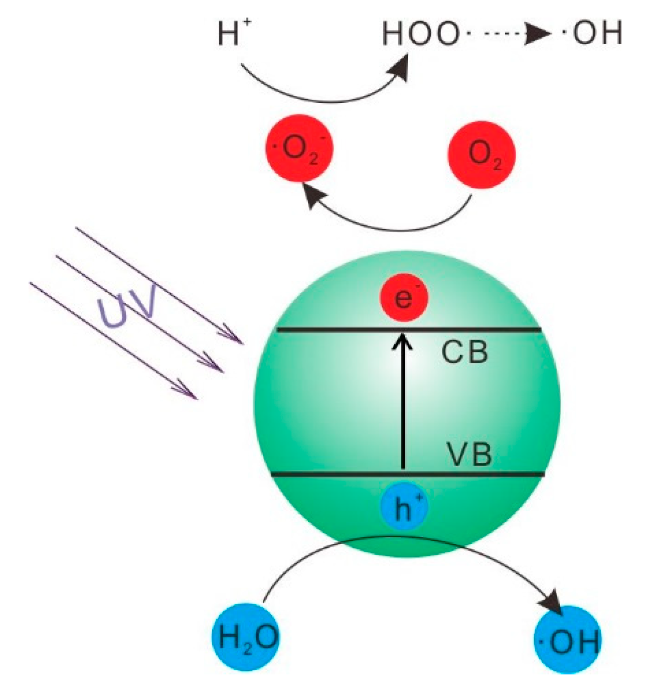 Nanomaterials 08 00428 sch001 Nanomaterials 08 00428 sch001