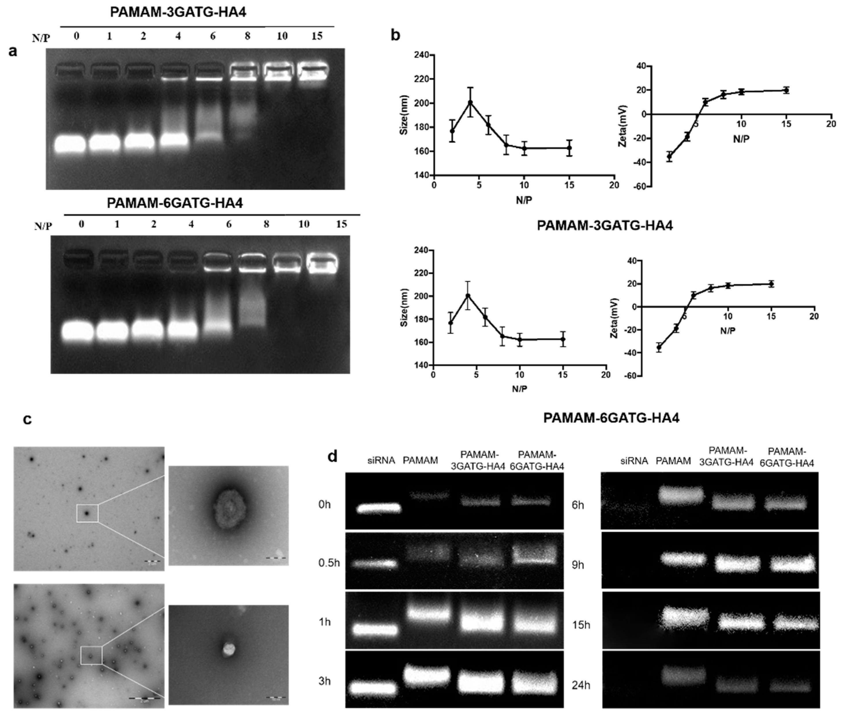 Nanomaterials 08 00433 g002 Nanomaterials 08 00433 g002