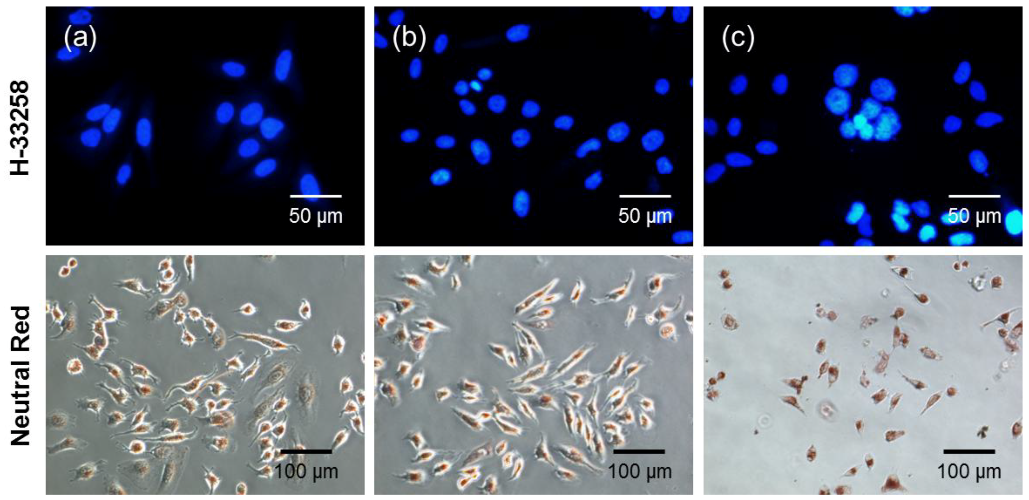 Nanomaterials 08 00445 g010 Nanomaterials 08 00445 g010