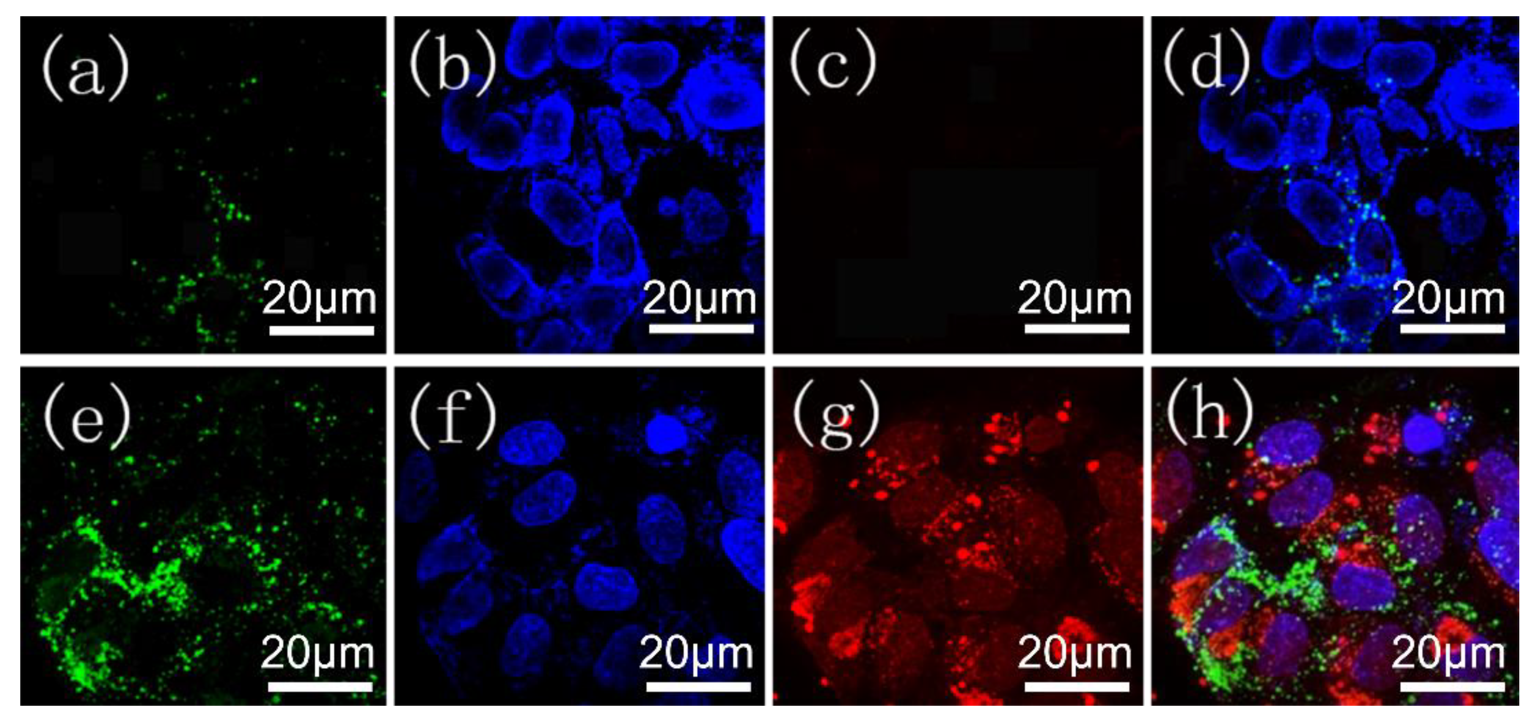 Nanomaterials 08 00446 g007