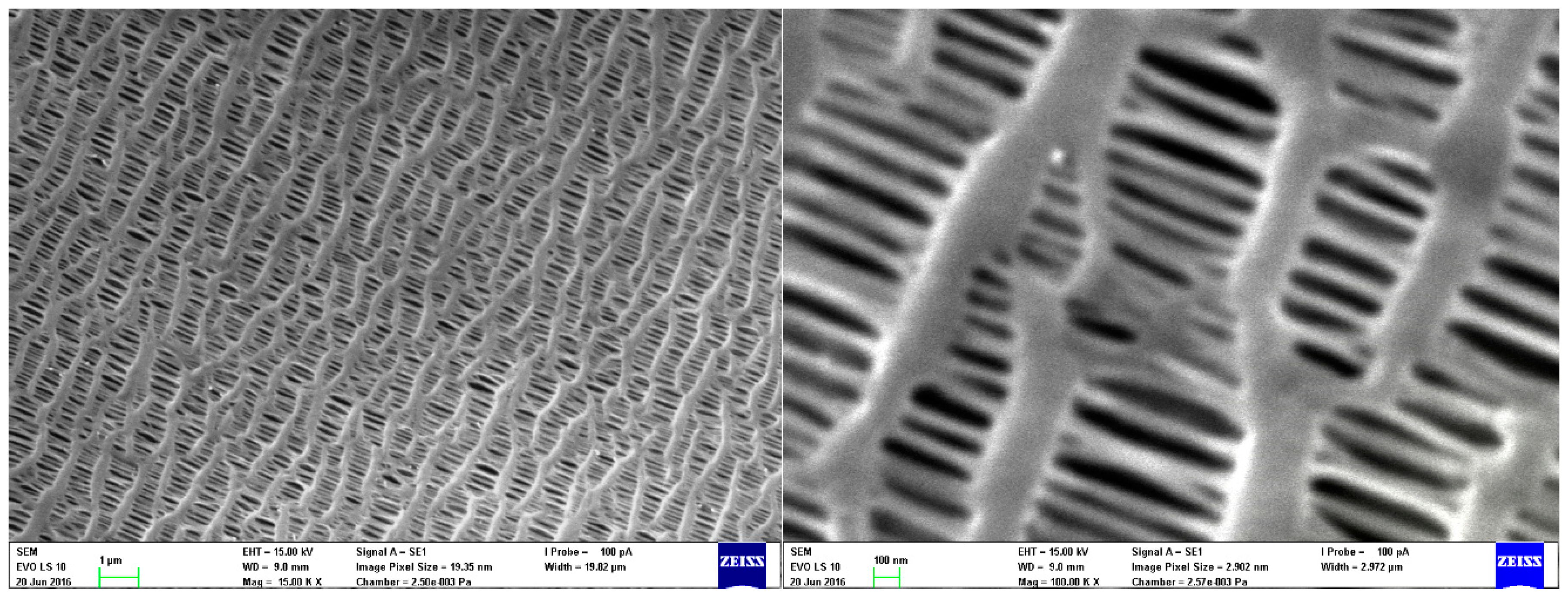 Nanomaterials 08 00447 g001 Nanomaterials 08 00447 g001