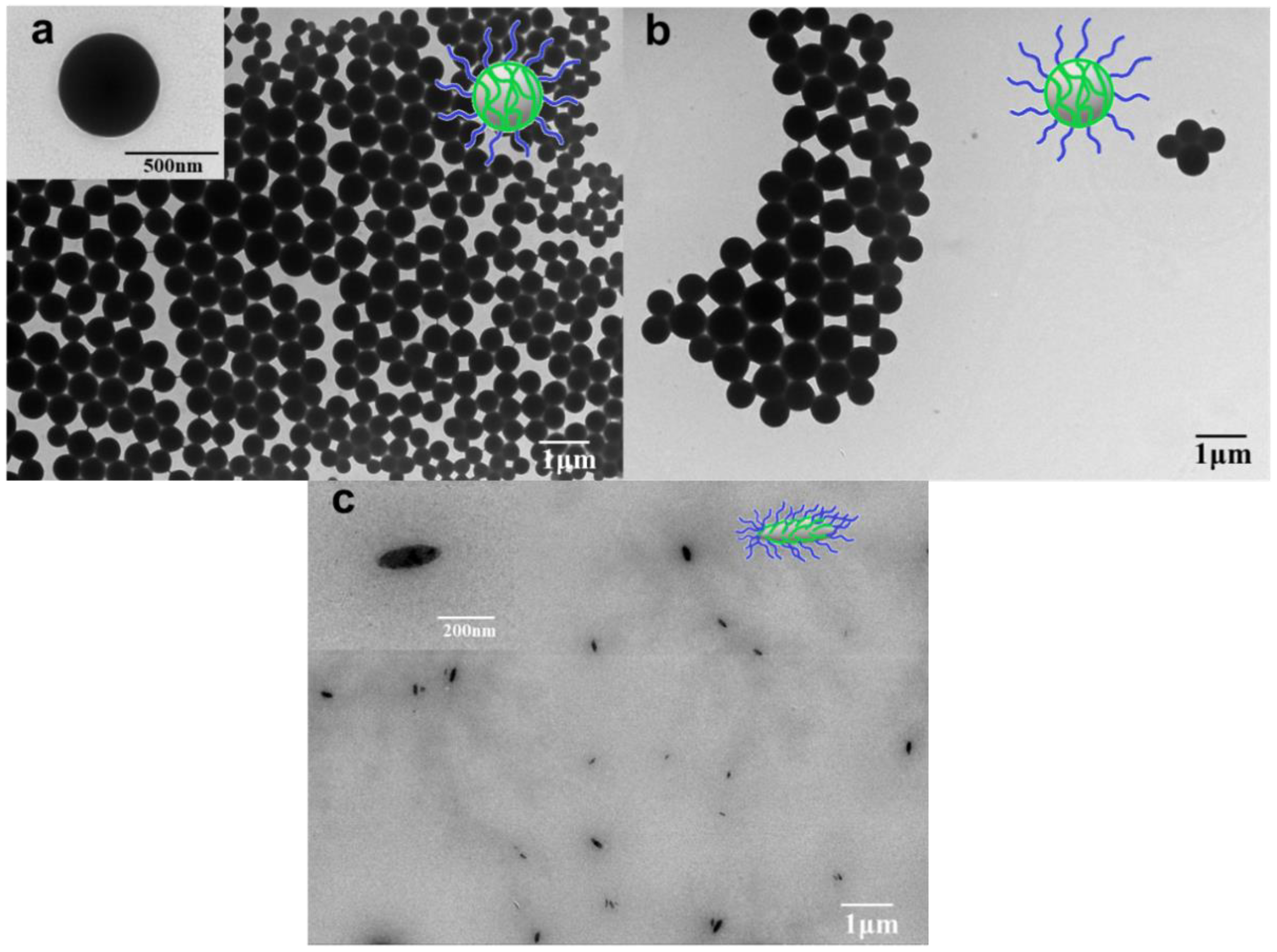 Nanomaterials 08 00449 g002