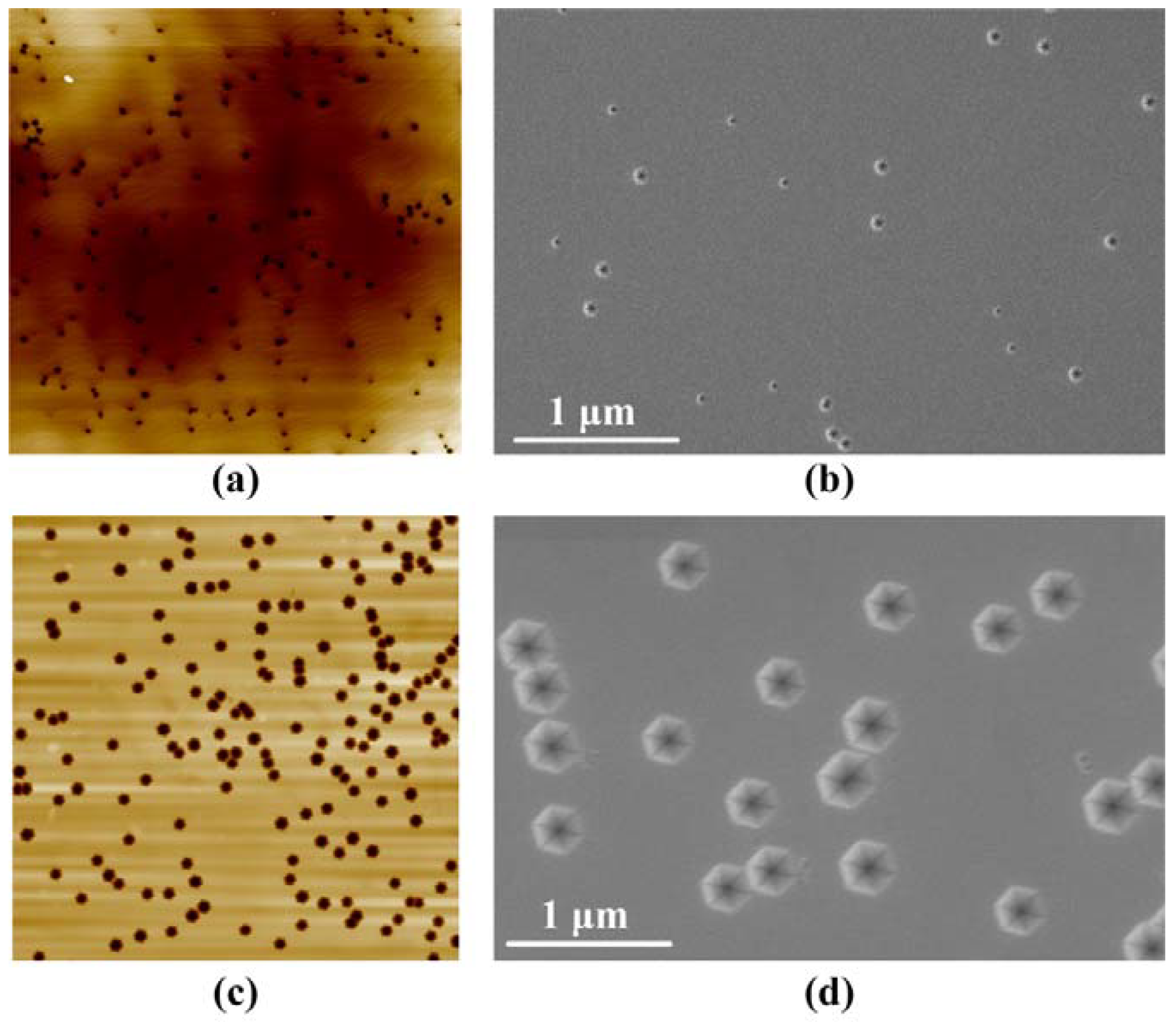 Nanomaterials 08 00450 g002