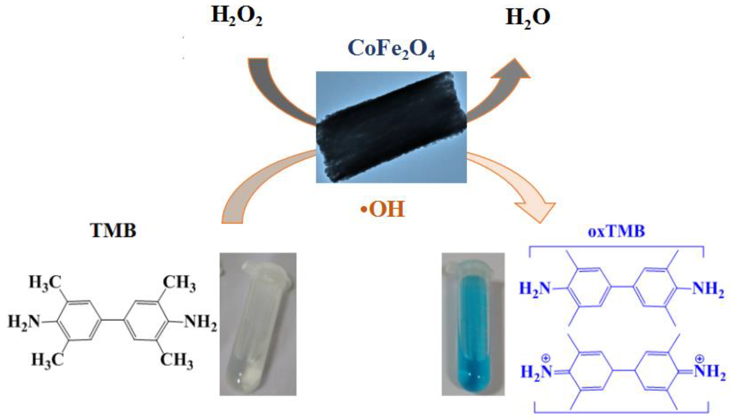 Nanomaterials 08 00451 sch001 Nanomaterials 08 00451 sch001