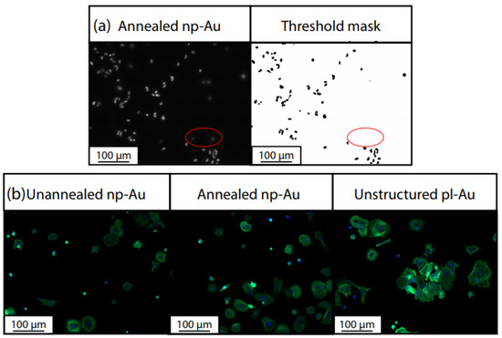 Nanomaterials 08 00452 g0a2