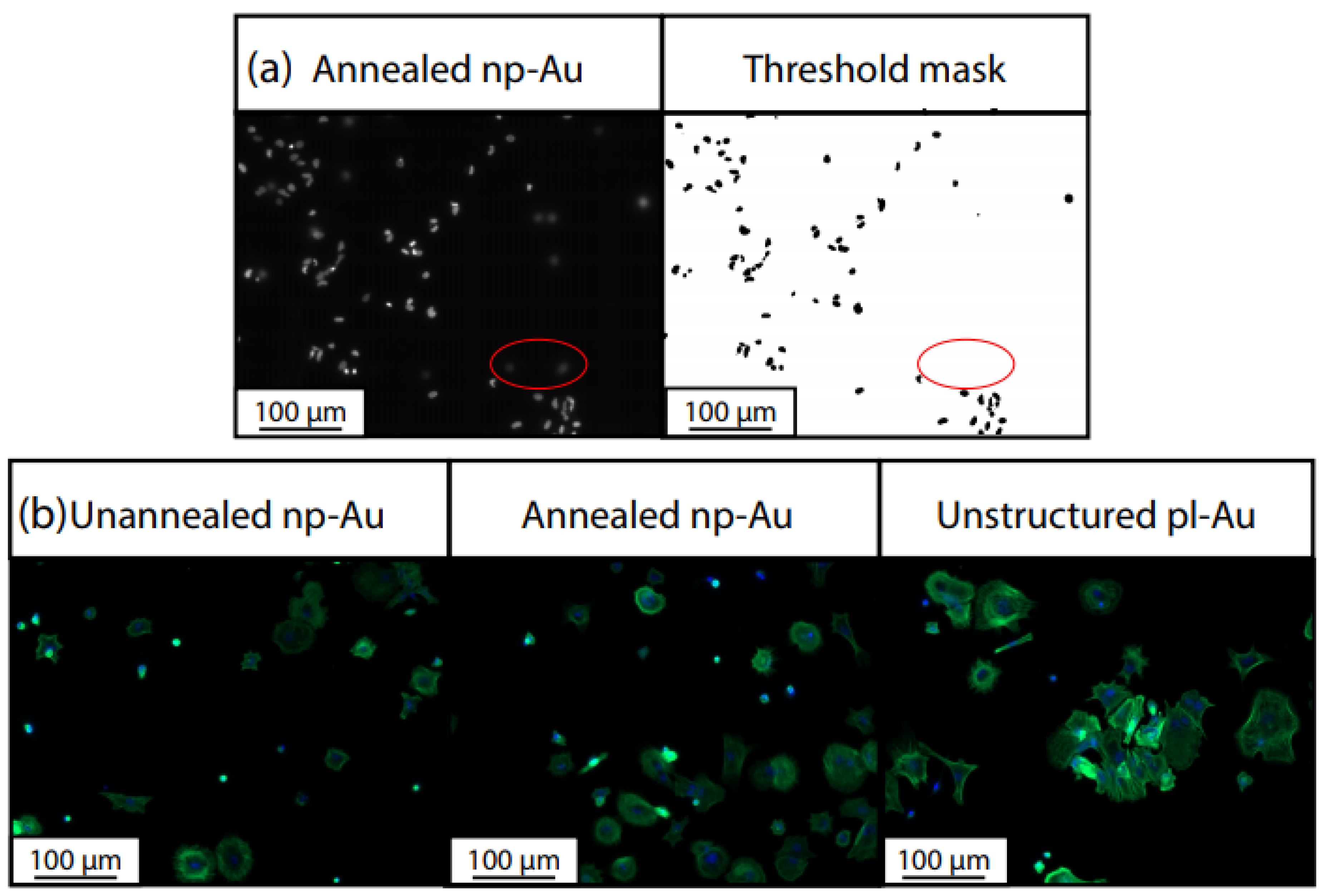Nanomaterials 08 00452 g0a2