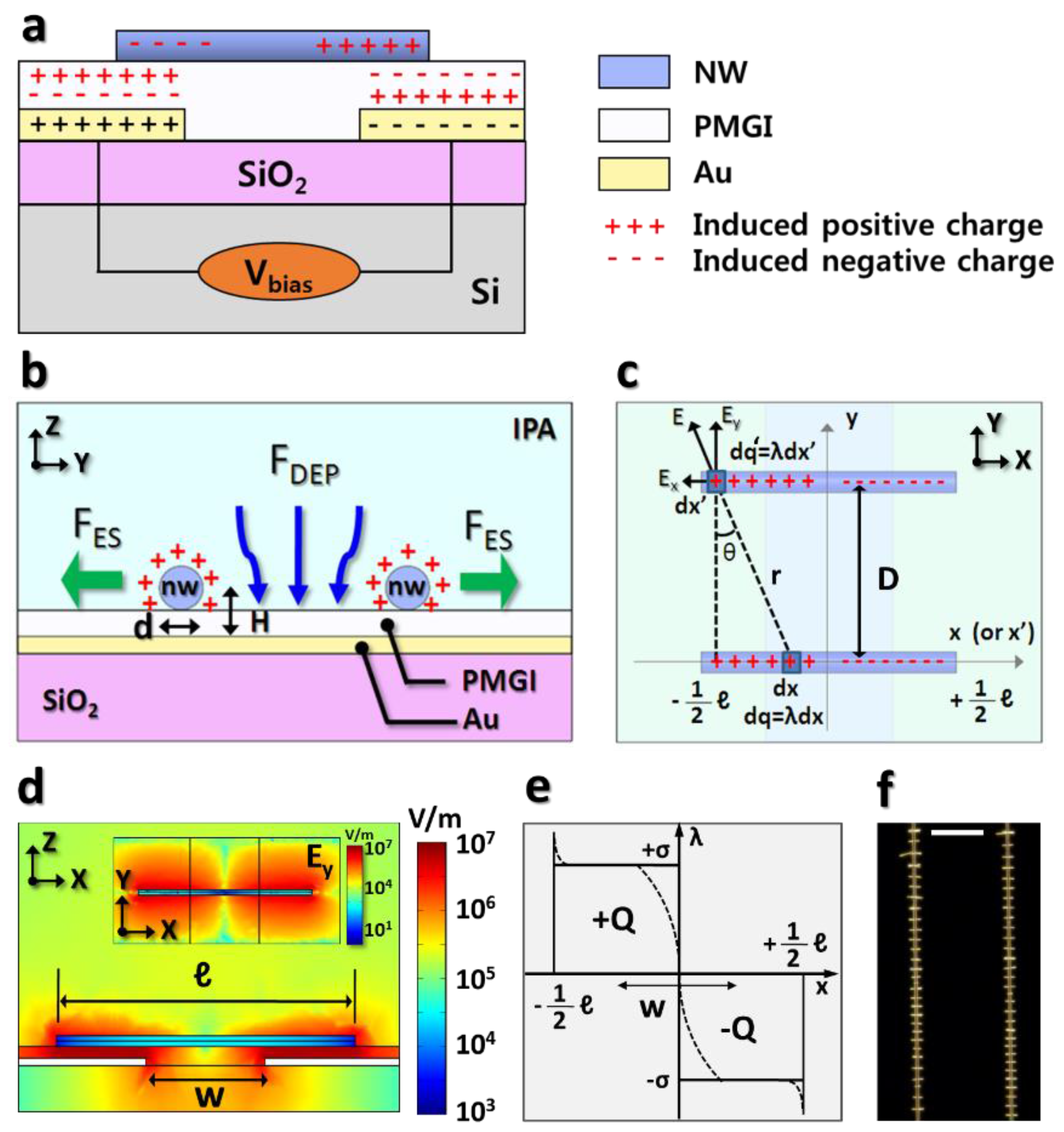 Nanomaterials 08 00456 g001