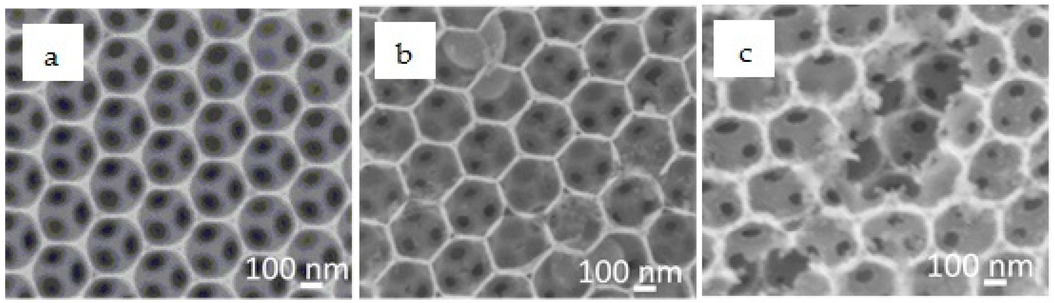 Nanomaterials 08 00460 g003