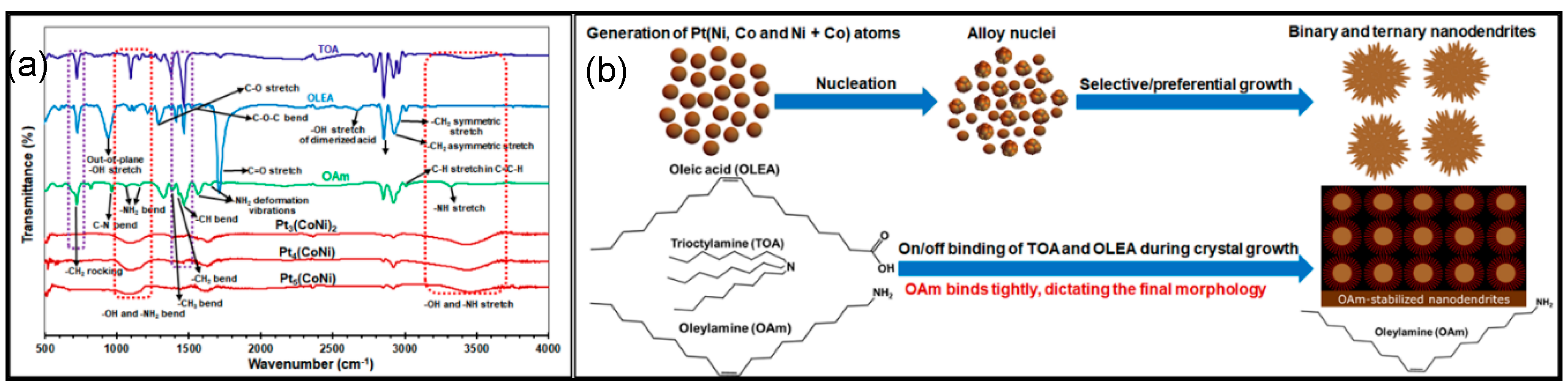Nanomaterials 08 00462 g004