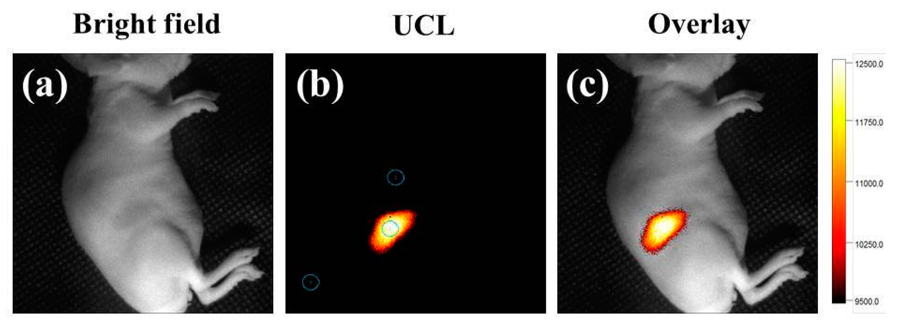 Nanomaterials 08 00466 g008 Nanomaterials 08 00466 g008