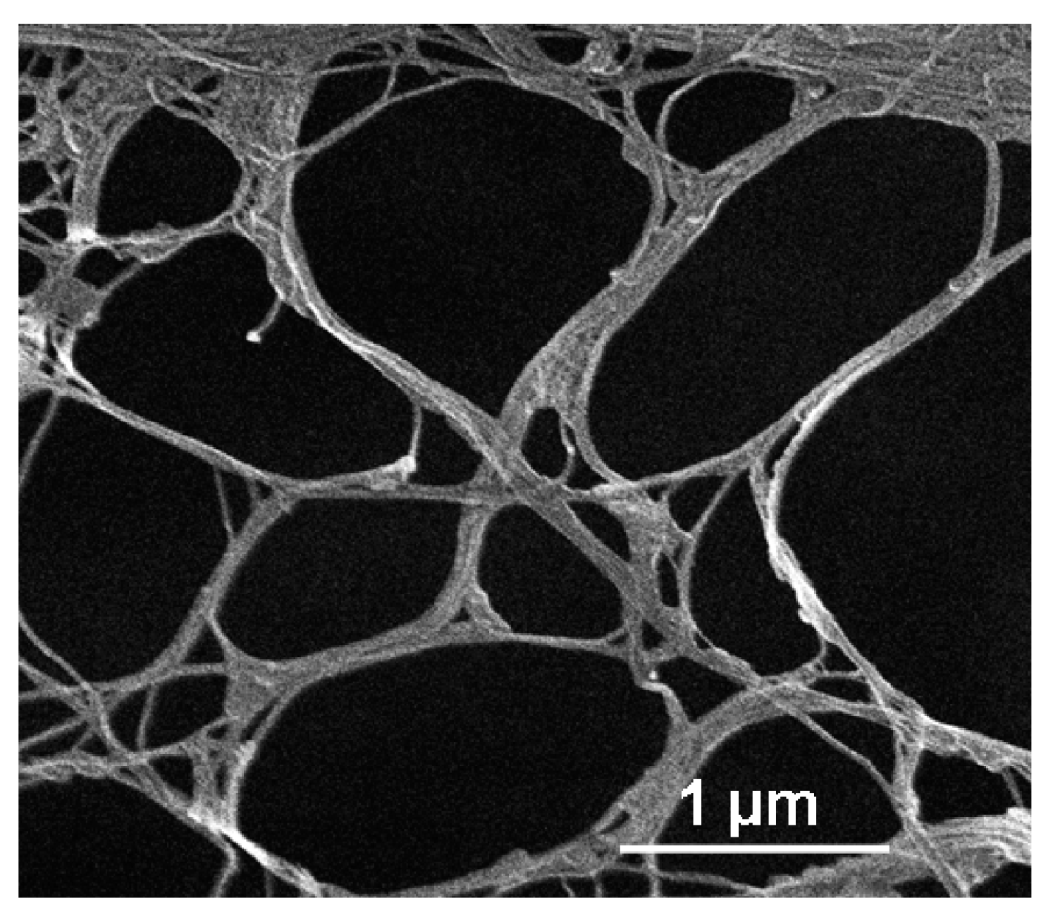Nanomaterials 08 00467 g003 Nanomaterials 08 00467 g003