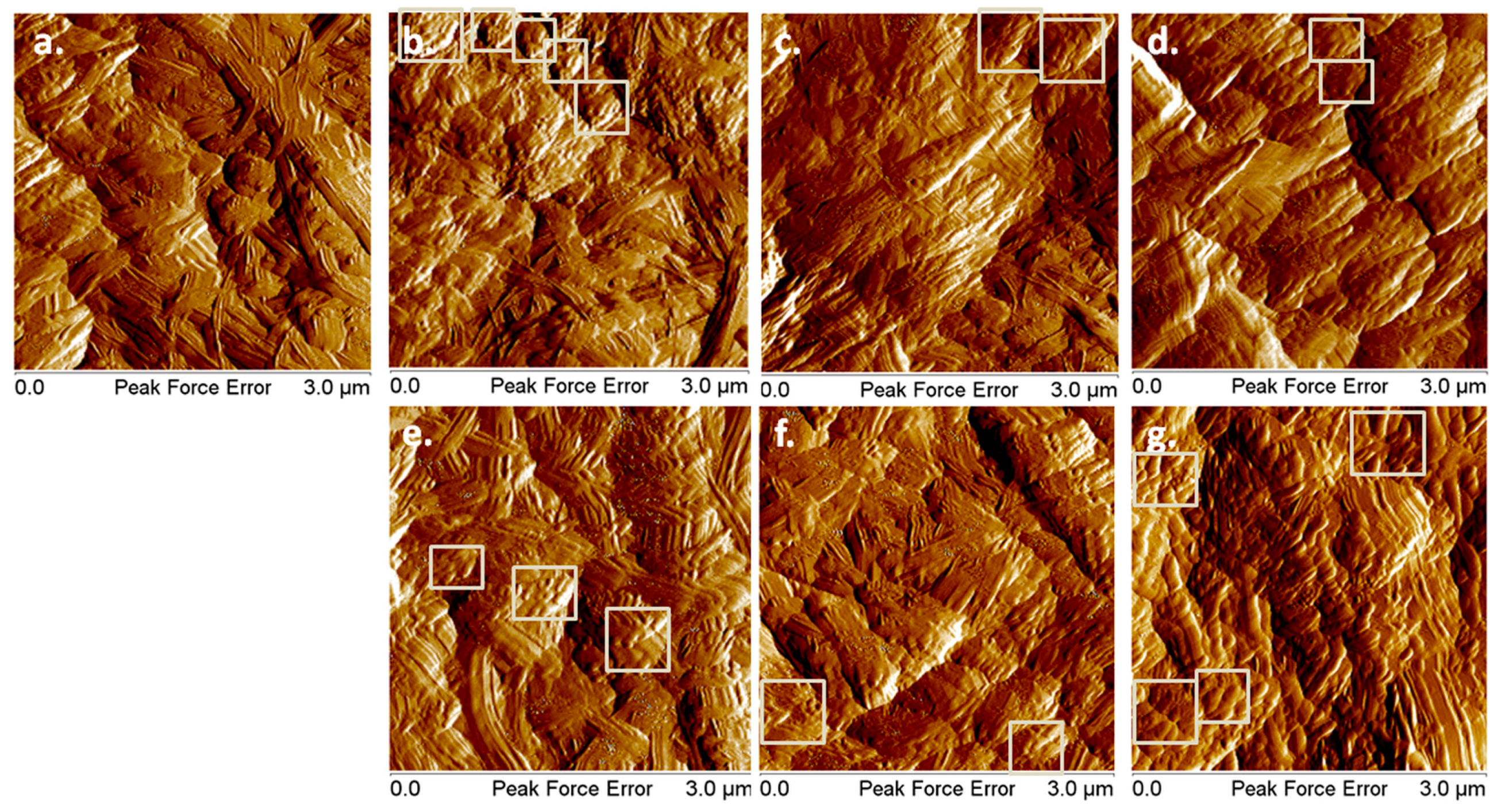 Nanomaterials 08 00467 g004 Nanomaterials 08 00467 g004