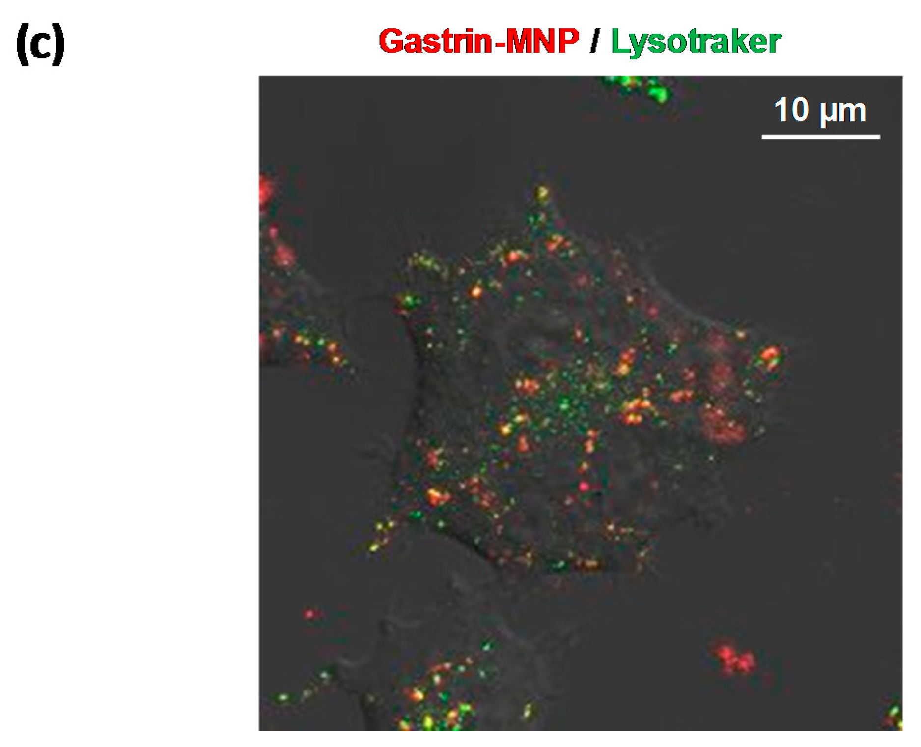 Nanomaterials 08 00468 g001b