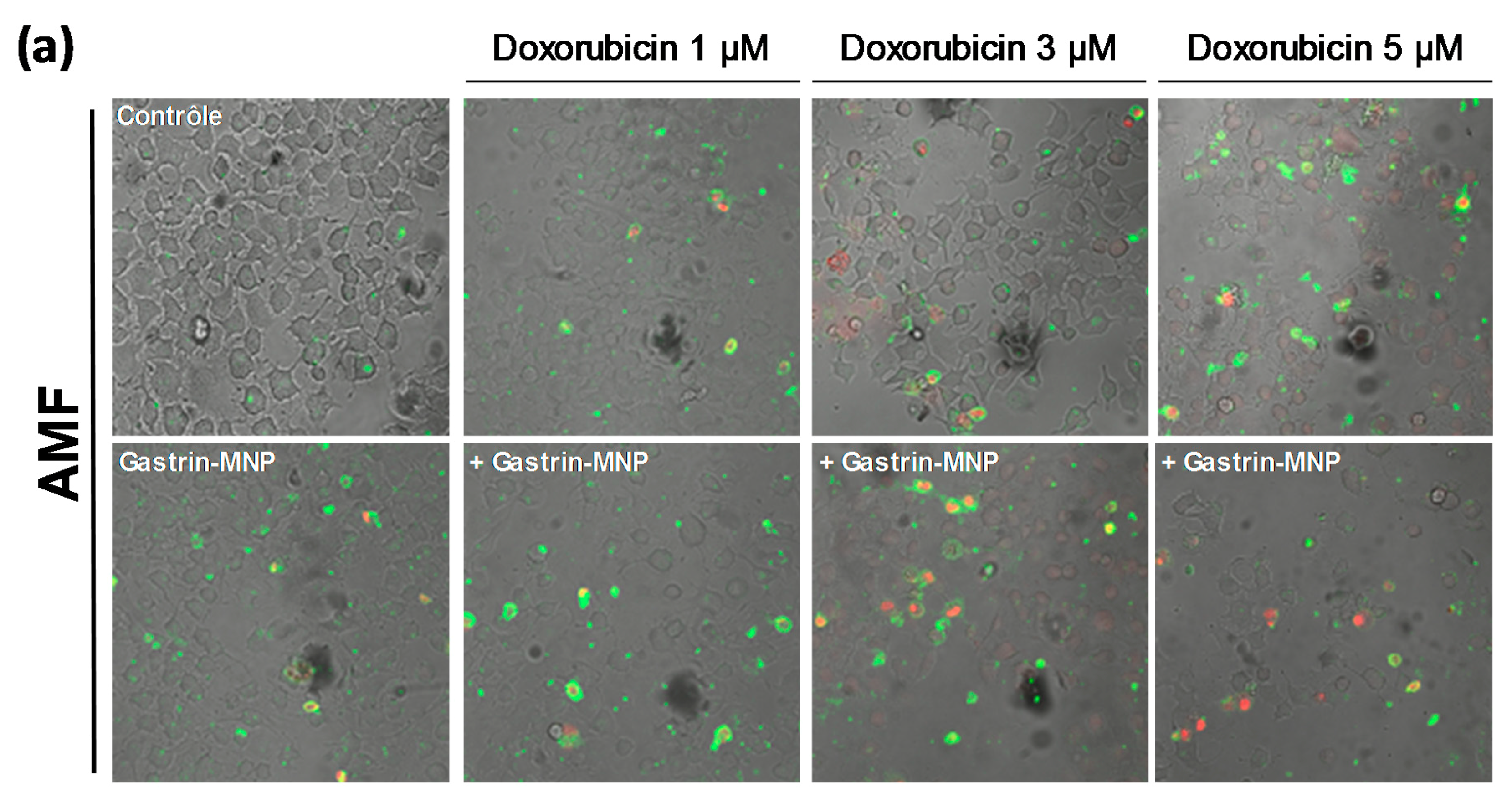 Nanomaterials 08 00468 g004a