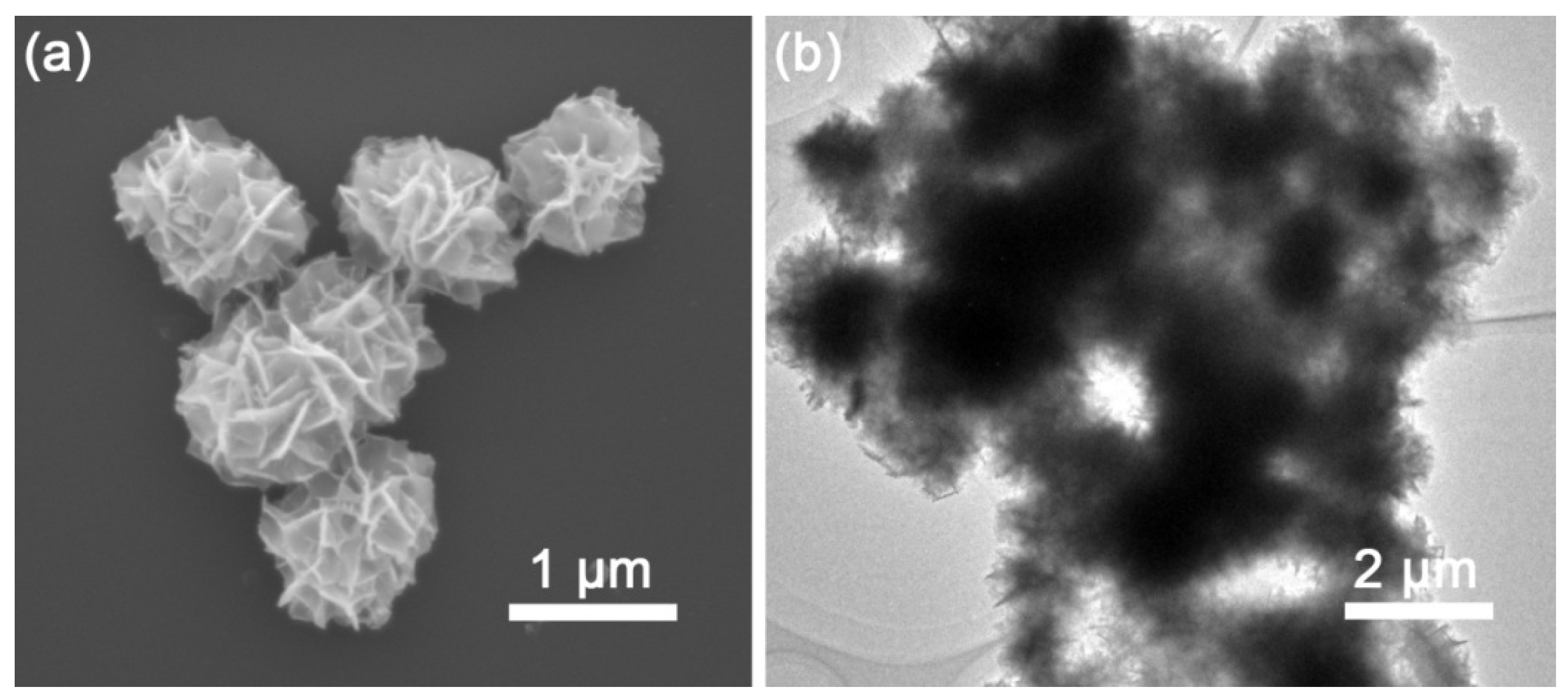Nanomaterials 08 00475 g002 Nanomaterials 08 00475 g002