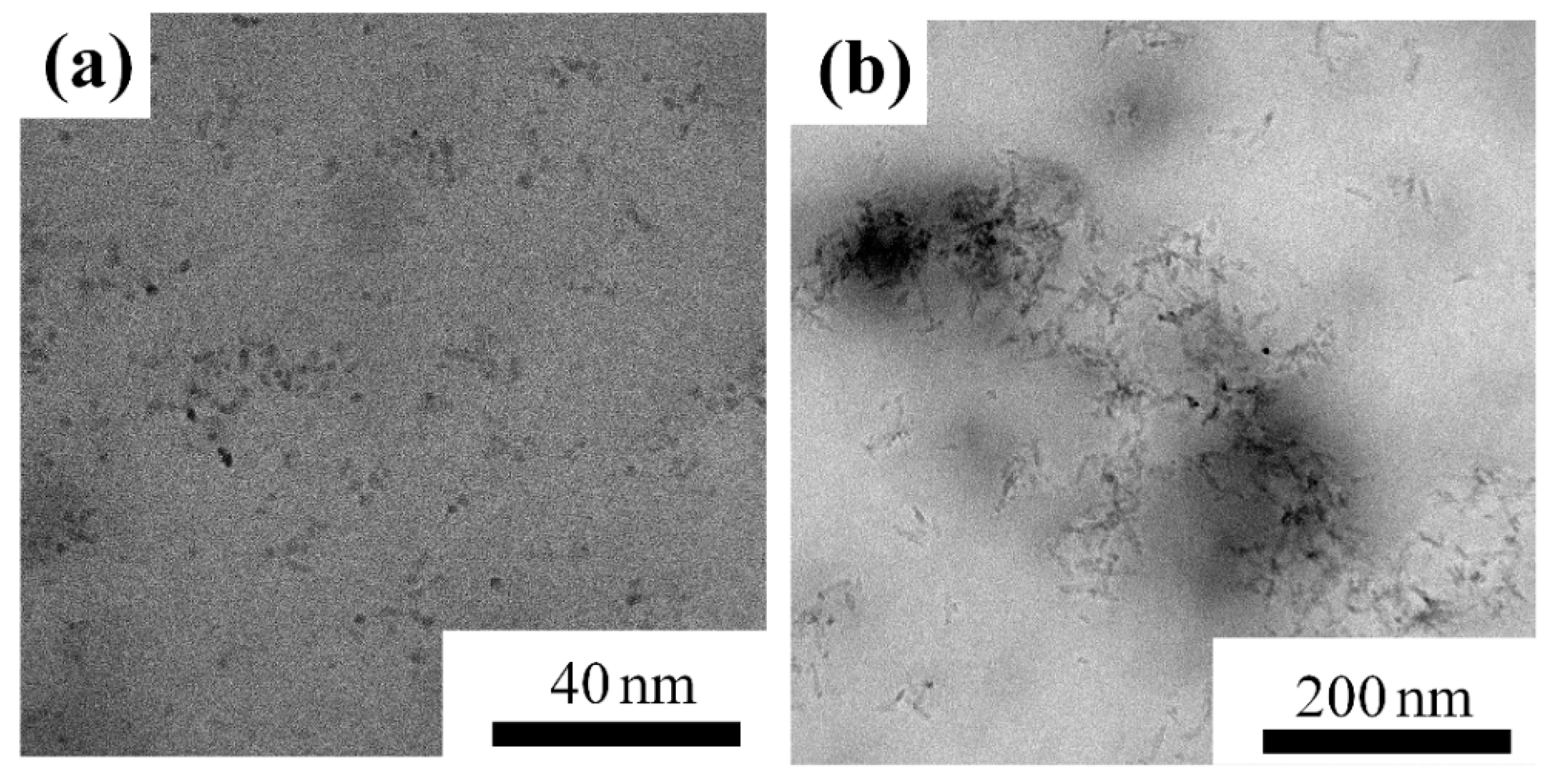Nanomaterials 08 00476 g004 Nanomaterials 08 00476 g004