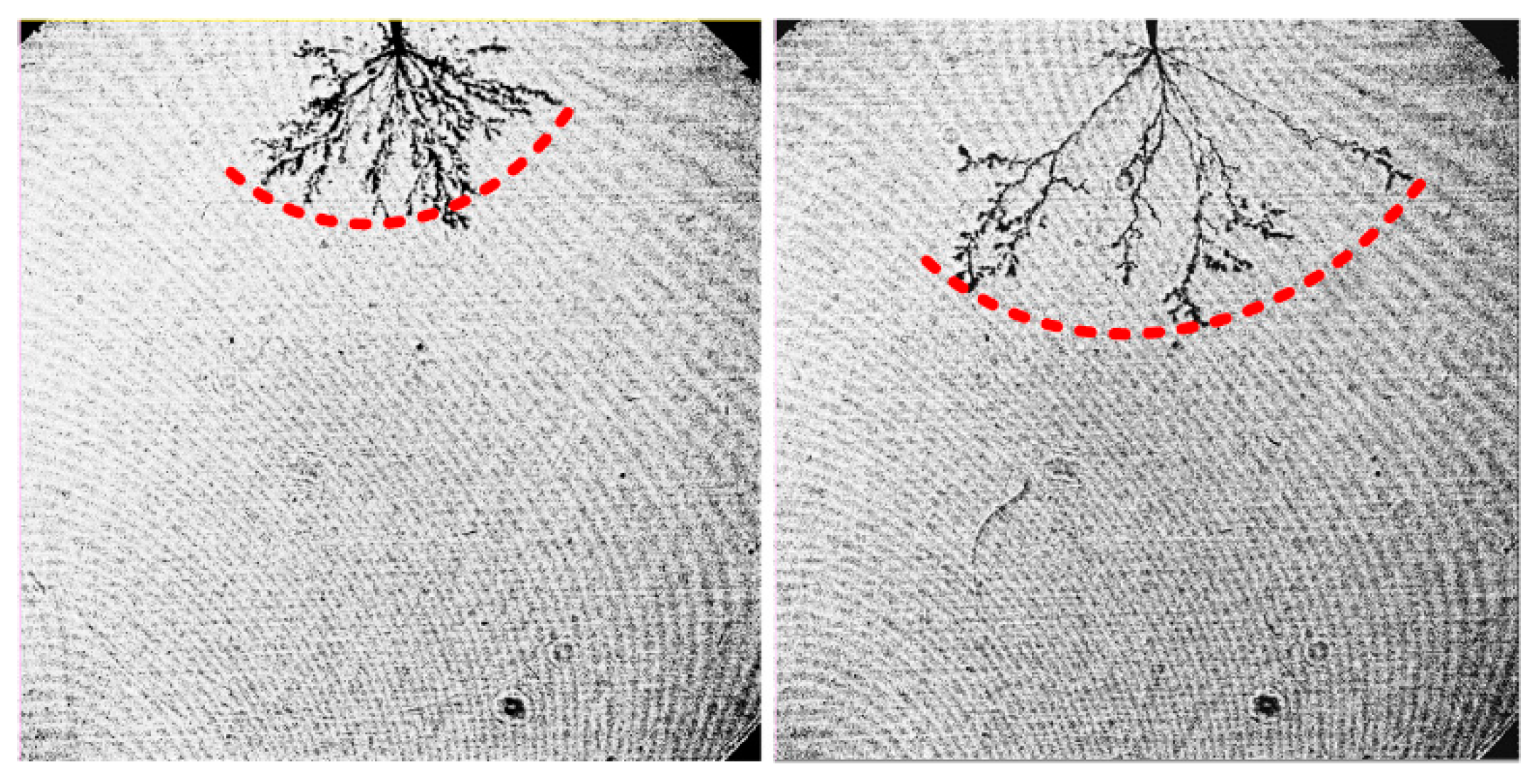 Nanomaterials 08 00476 g008 Nanomaterials 08 00476 g008