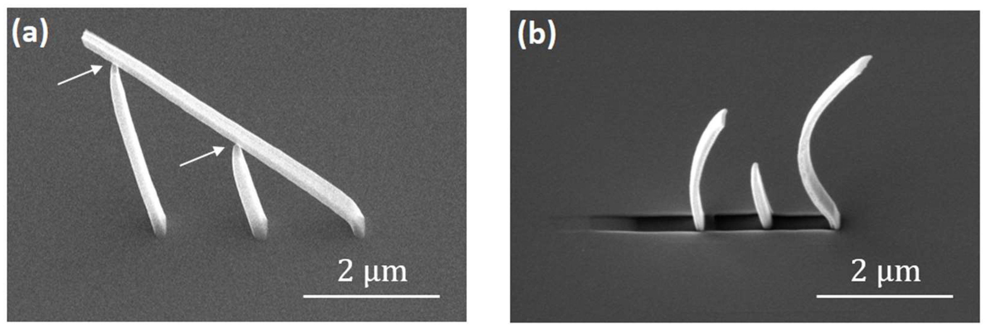 Nanomaterials 08 00483 g010