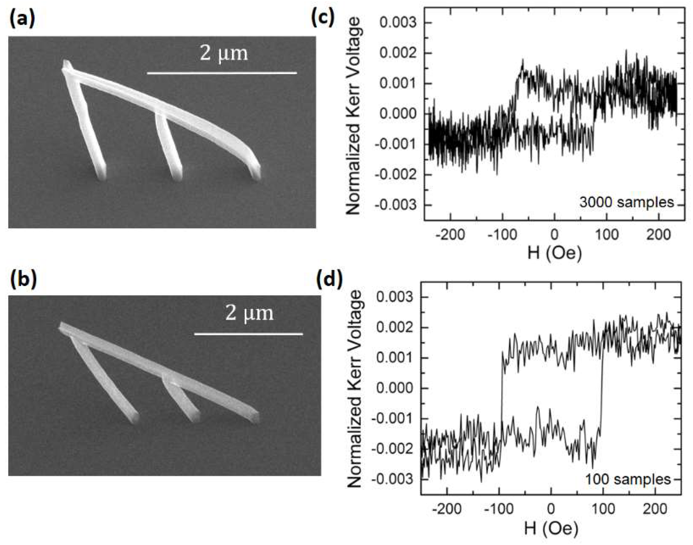 Nanomaterials 08 00483 g012